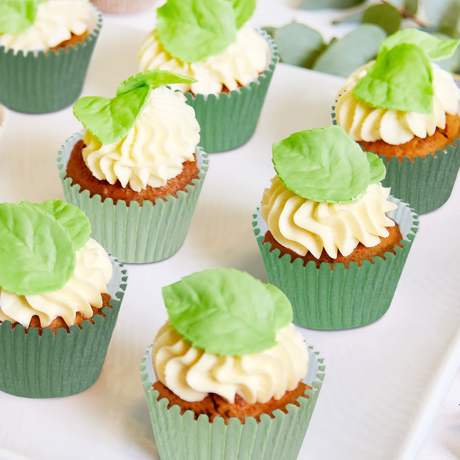 Whaline 600Pcs Green Cupcake Liners Dark Green Sage Green Light Green Baking Cups Gradient Green Wedding Cupcake Wrappers For Ba