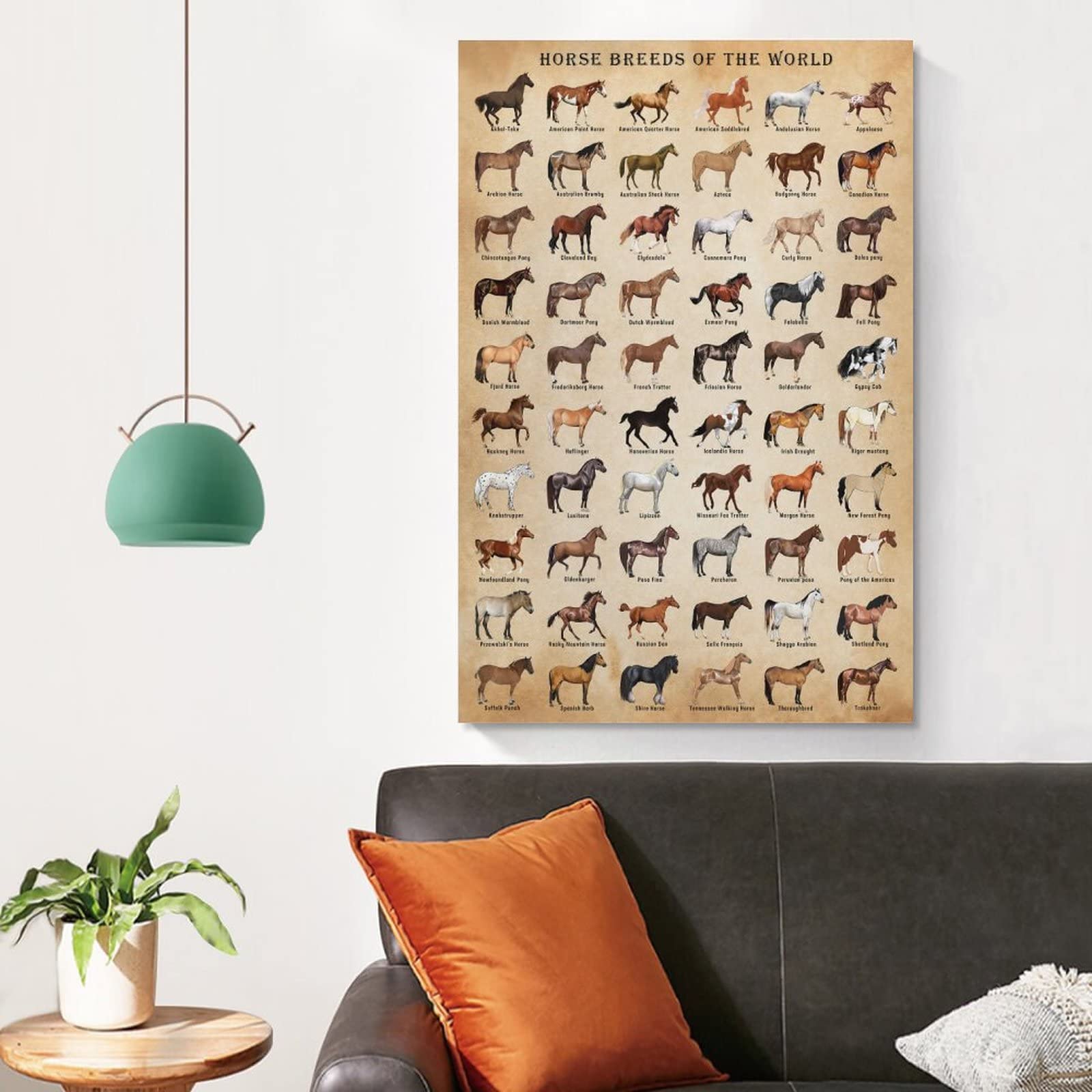 Xnlksi Horse Knowledge Horse Breeds Of The World Poster Framed 12X16Inch