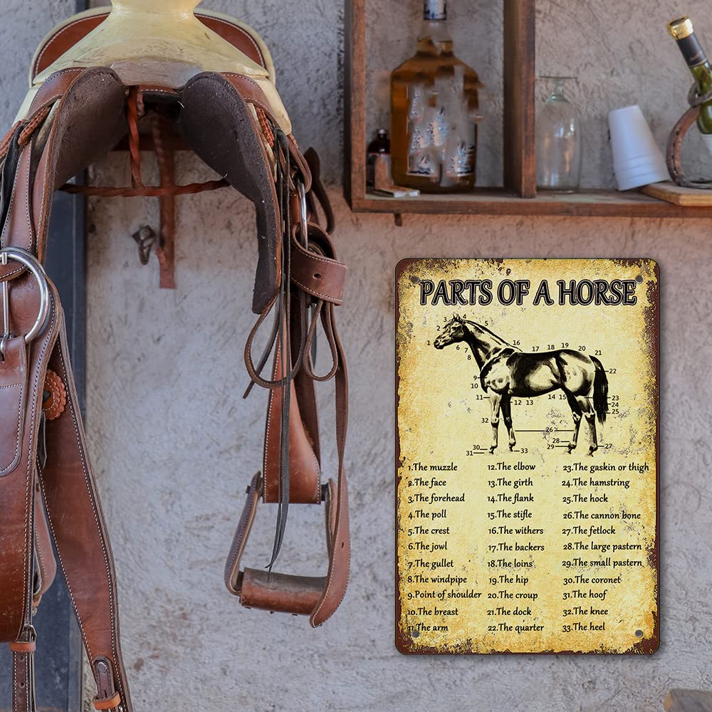 Jiuerocs Retro Horse Knowledge Metal Posters Parts Of Horse Signs Horses Anatomy Tin Sign Horse Poster Decorations For Kitchen F