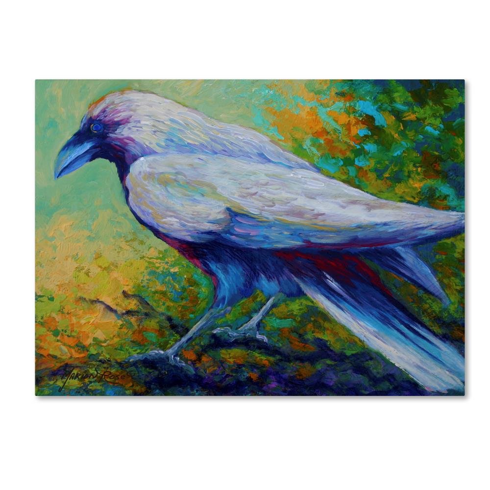 Raven 2 By Marion Rose, 35X47-Inch Canvas Wall Art