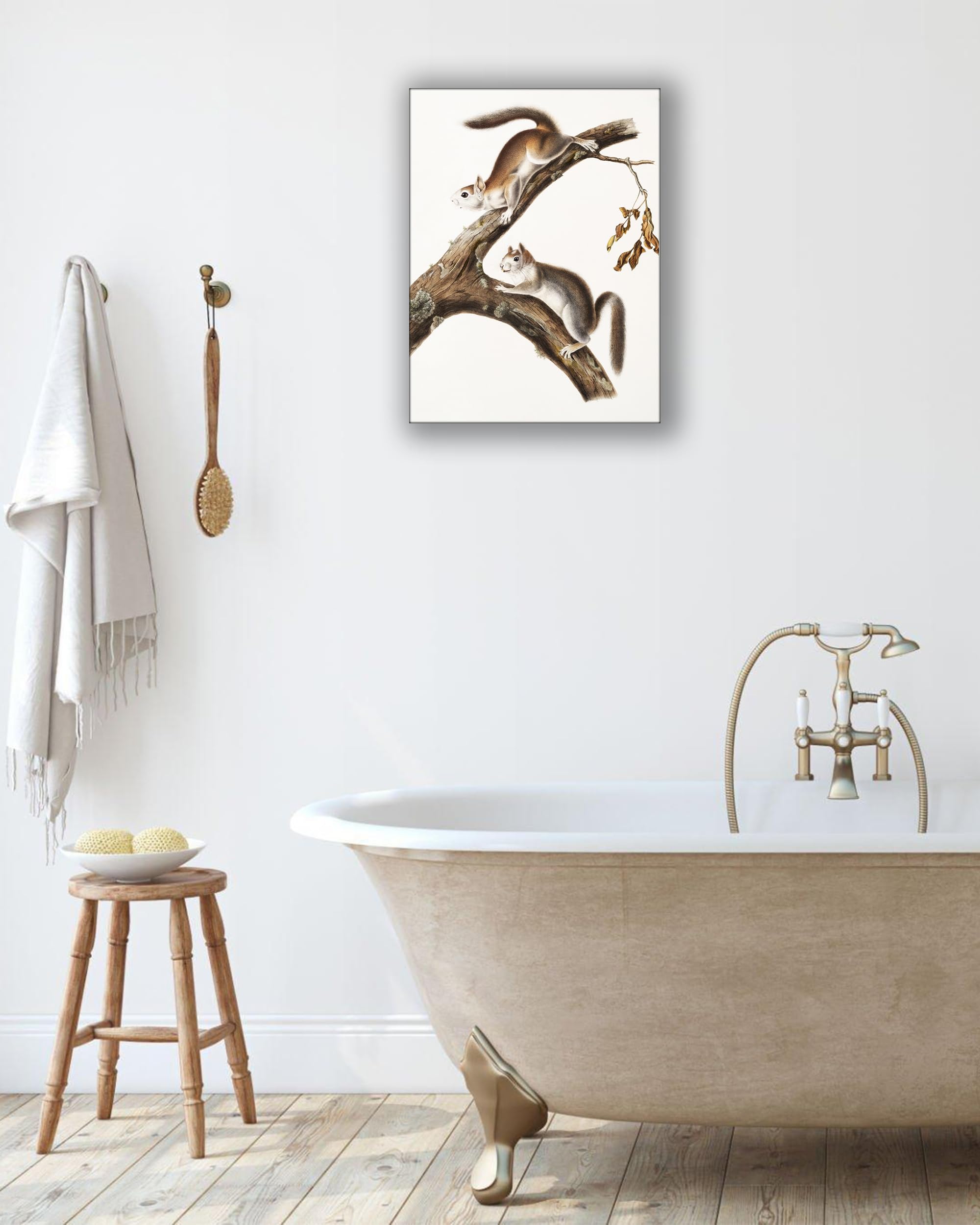 Upwoigh Bathroom Wall Art Decor, Squirrels Brown Wall Art, Waterproof Wood Framed Canvas Wall Art Animals Abstract Prints, 12''X