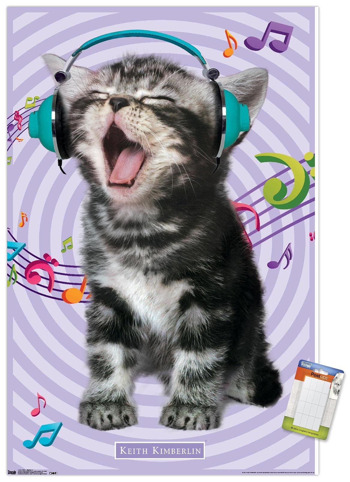 Trends International Keith Kimberlin - Kitten - Singing Wall Poster, 14.725'' X 22.375'', Premium Poster & Mount Bundle