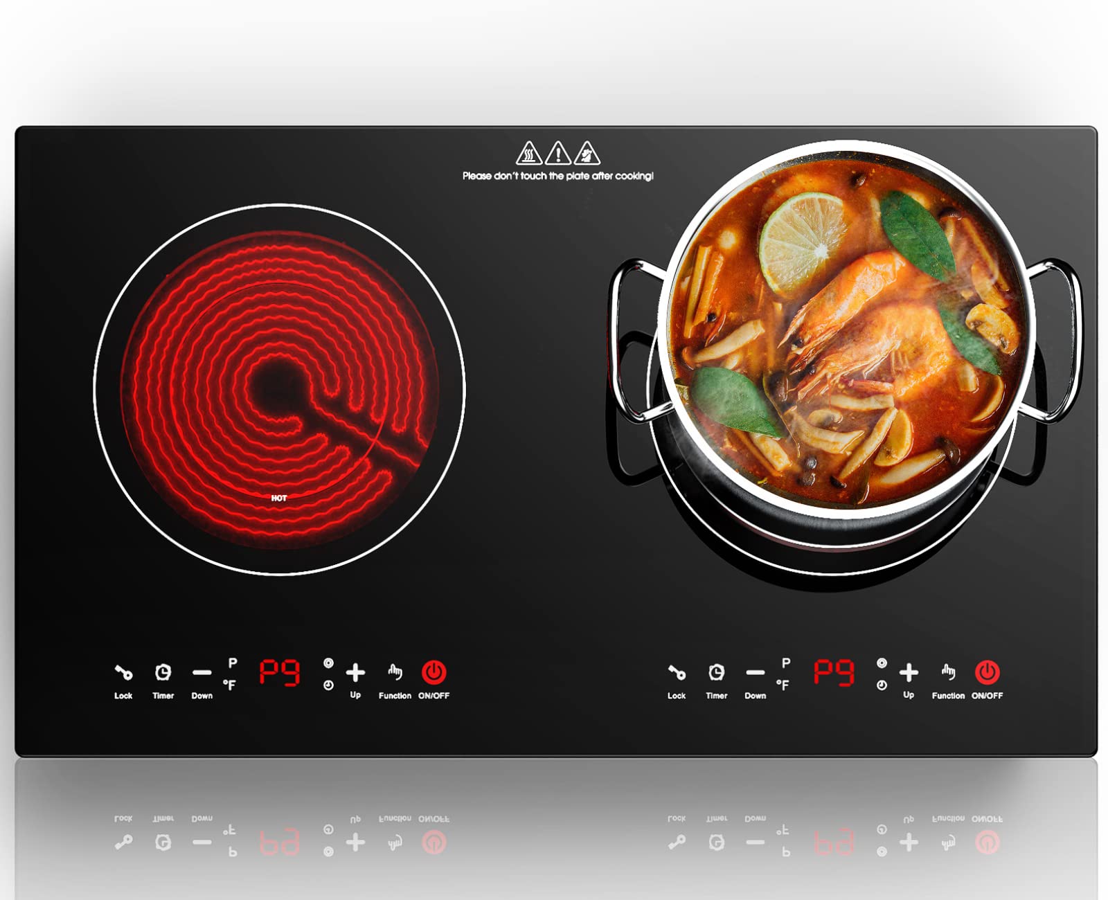 Electric Cooktop 24 Inch,Electric Stove 2 Burners 110V Built-in and Countertop Plug in 2400w,LED Touch Screen,9 Heating 9 Temper