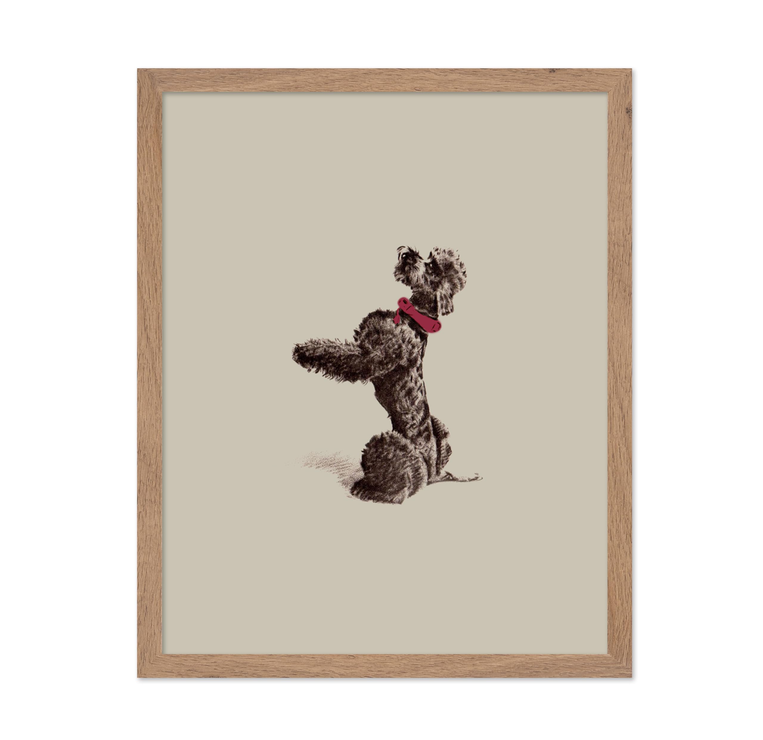 Poster Master Vintage Poodle Poster - Retro Dog Print - Sketch Art - Drawing Art - Pet Portrait Art - Animal Lover Art - Minimal