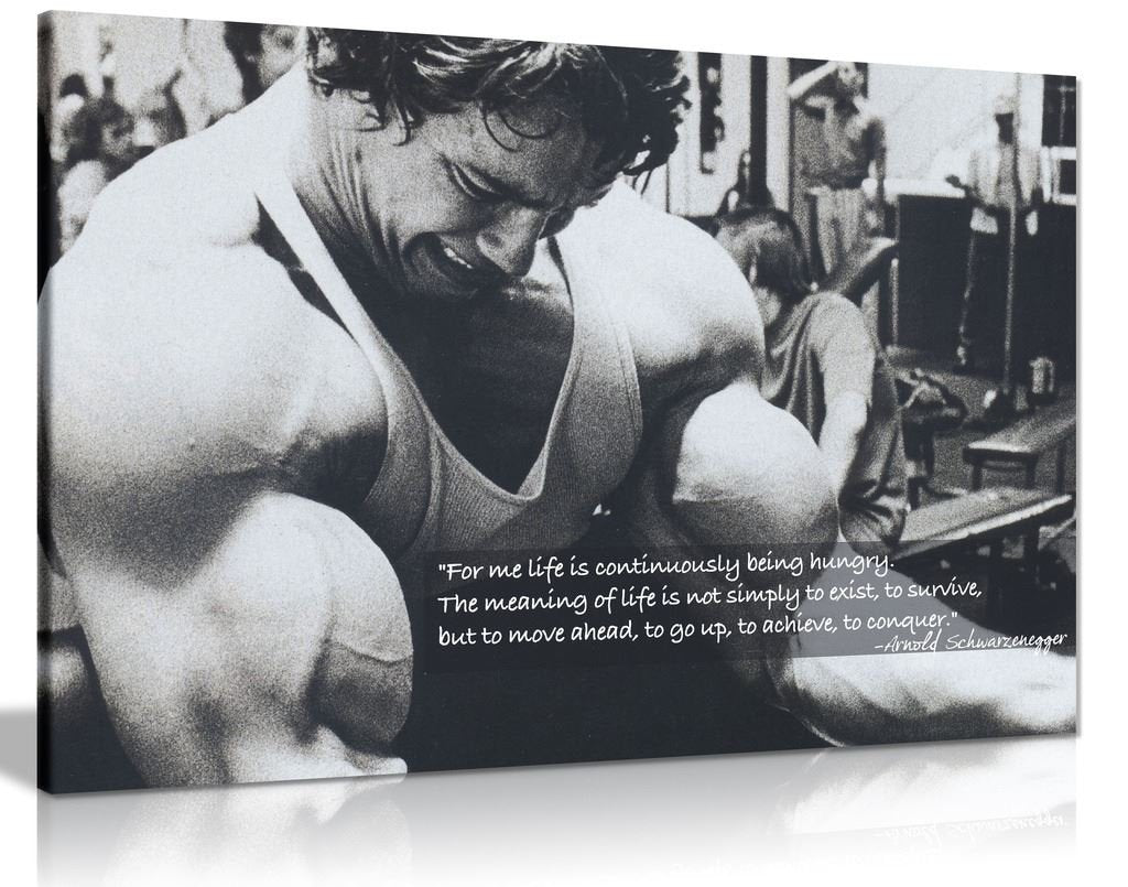 Panther Print, Large Canvas Wall Art, Arnold Schwarzenegger Bodybuilding Quote, Beautiful Living Room, Bedroom And Gym Framed Ar
