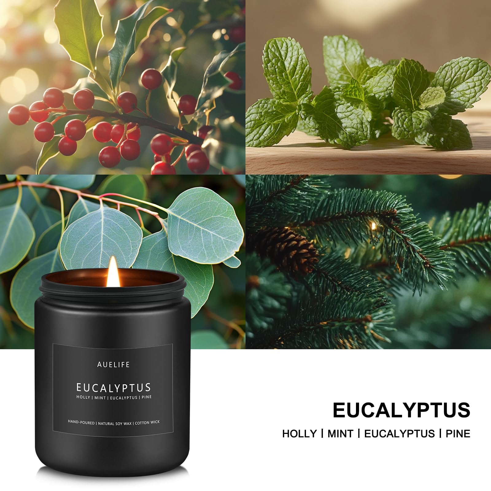 Eucalyptus Candle | Eucalyptus Scented Candles, Eucalyptu Leaf Fragrance for Indoor & Outdoor, Summer Candle Gifts, Natural Soy