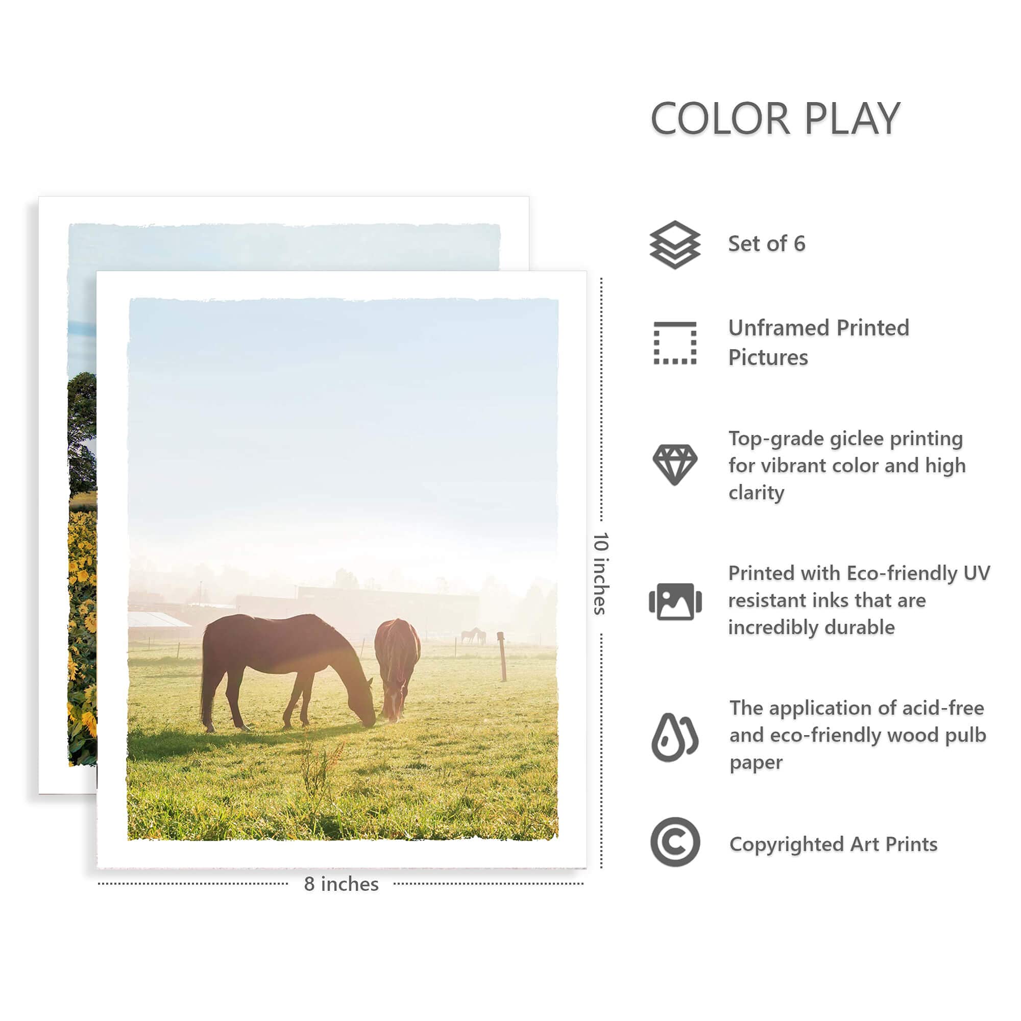 Color Play Rural Landscape Pictures Farmhouse Wall Art Set Of 6 Barn Prints Horse Straw Bales Grassland Photography For Home Wal