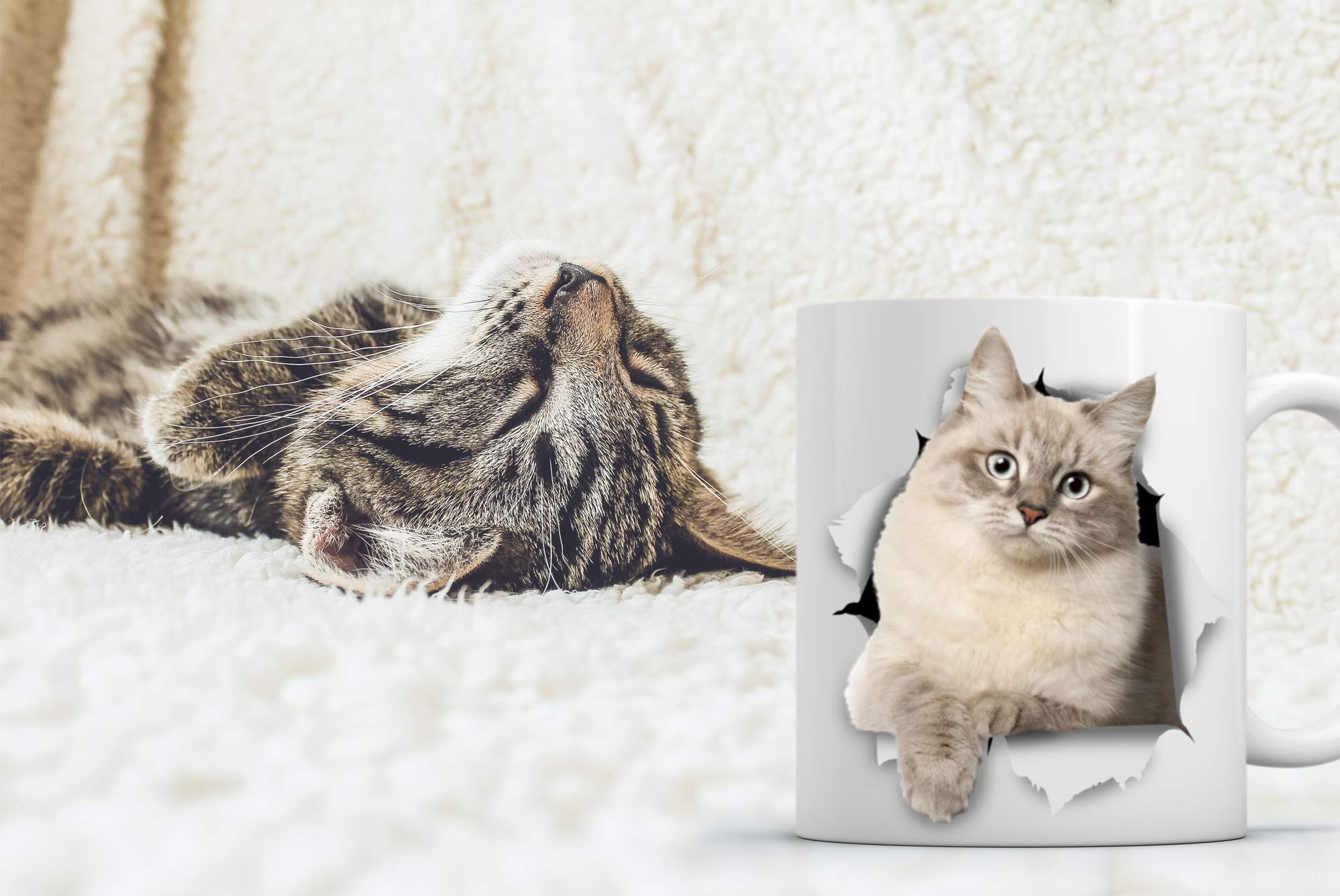 Siberian Cat Coffee Mug - Ceramic Funny Coffee Mug - Perfect Cat Lover Gift - Cute Novelty Coffee Mug Present - Great Birthday o