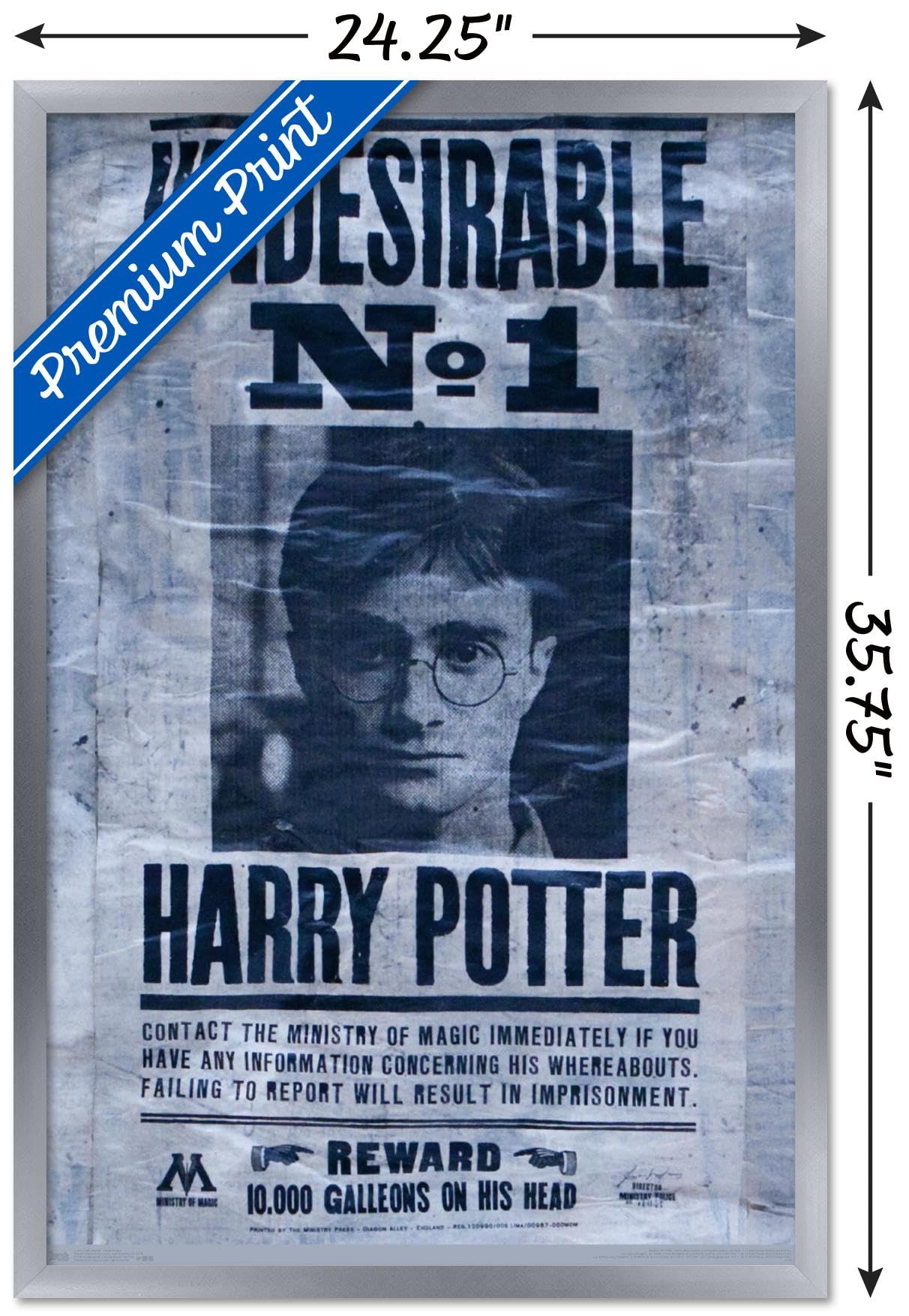 Trends International The Wizarding World: Harry Potter - Undesirable Wall Poster, 22.375'' X 34'', Silver Framed Version