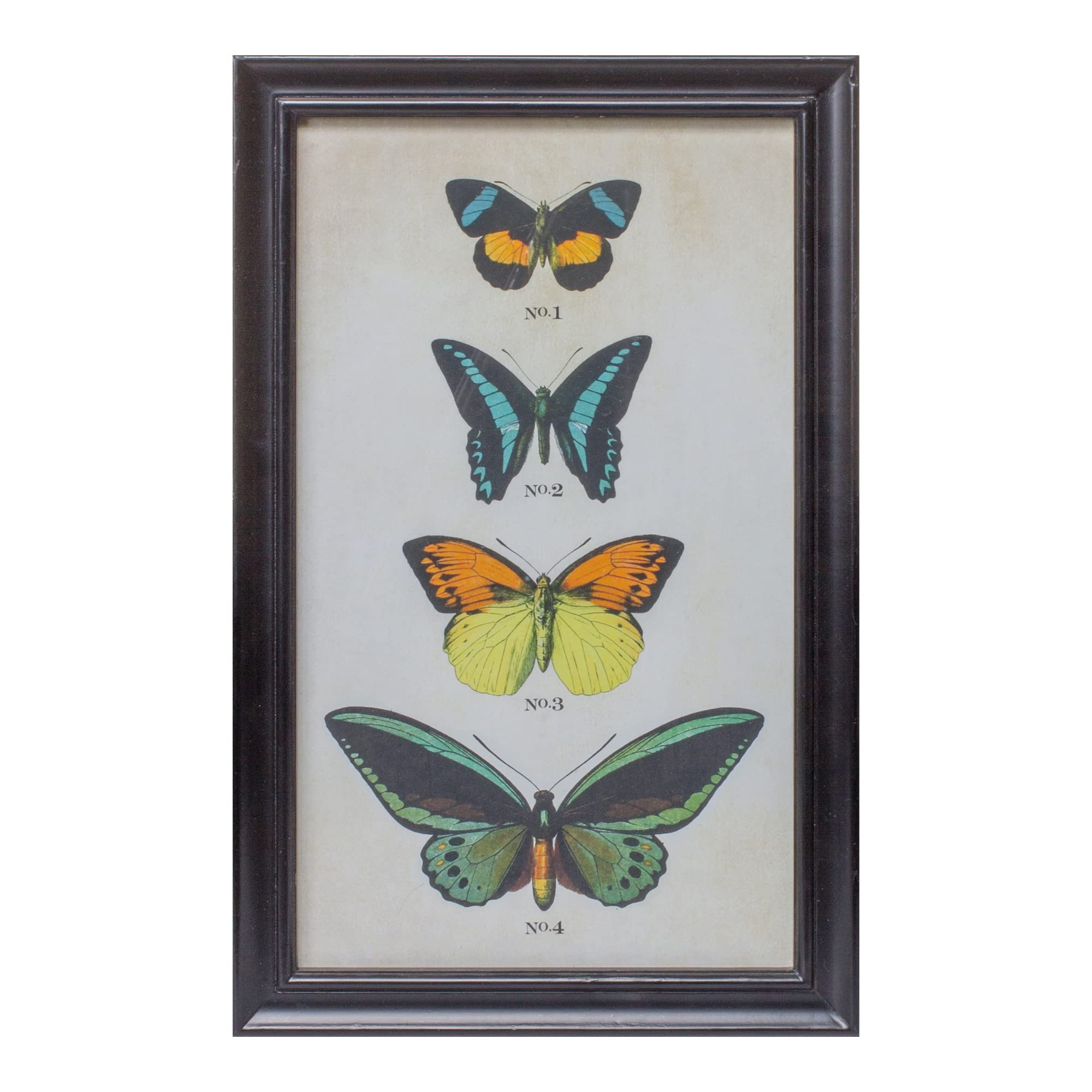 Framed Butterfly Print (Set Of 2)