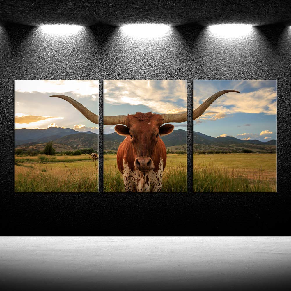 Iknow Foto 3 Piece Highland Cow Canvas Wall Art Prints Longhorn Photo Contemporary Paintings Farm Animals Pictures Giclee Artwor