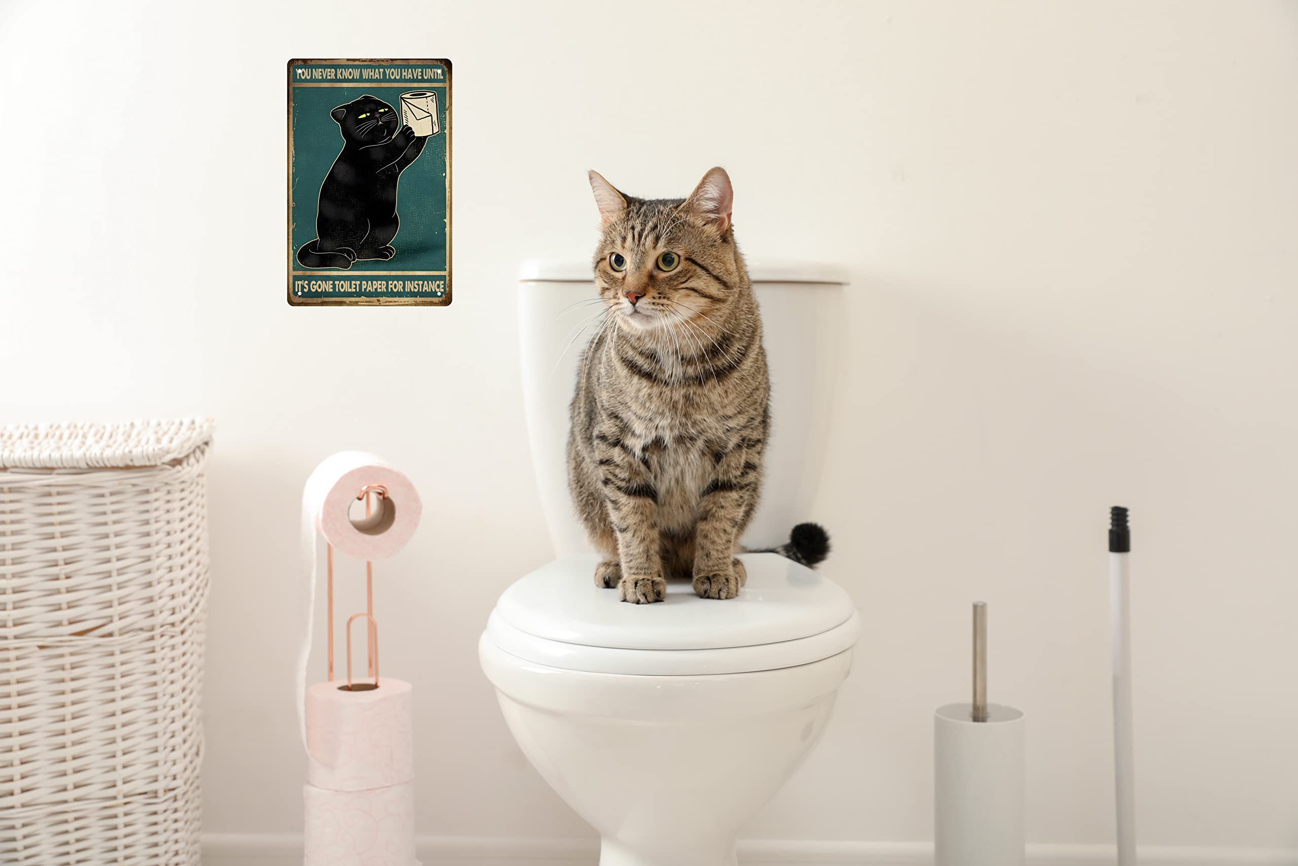 Funny Black Cat Bathroom Decor Retro Metal Tin Sign - You Never Know What You Have Until It'S Gone Toilet Paper For Instance - V