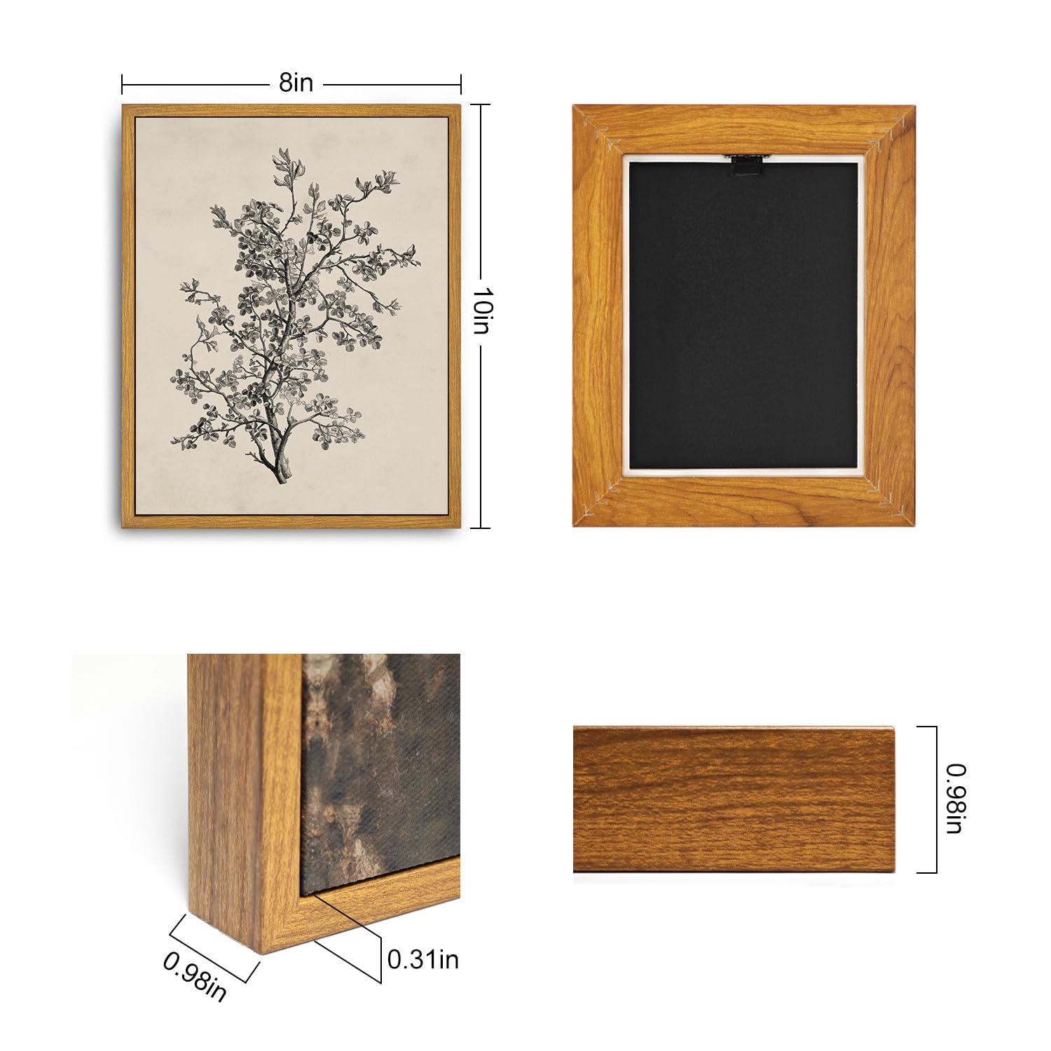 Roslynity Framed Canvas Wall Art Vintage Print Botanical Sketch Floral Nature Flower Neutral Rustic Country Retro Aesthetic Artw