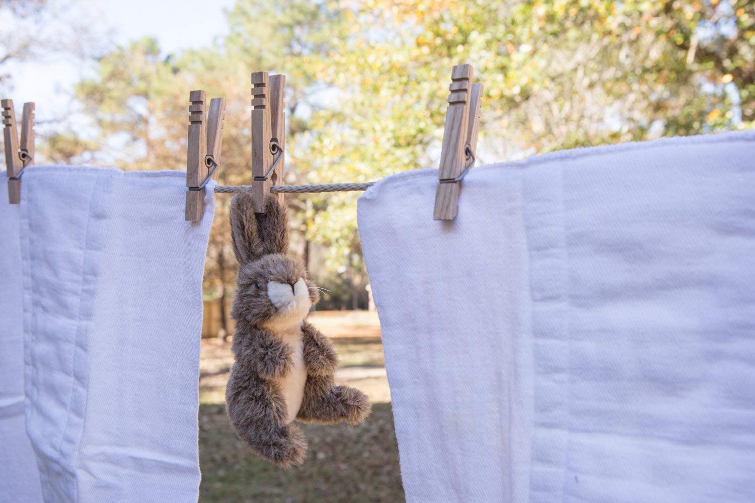 20 Hardwood Clothespins Made In The Usa