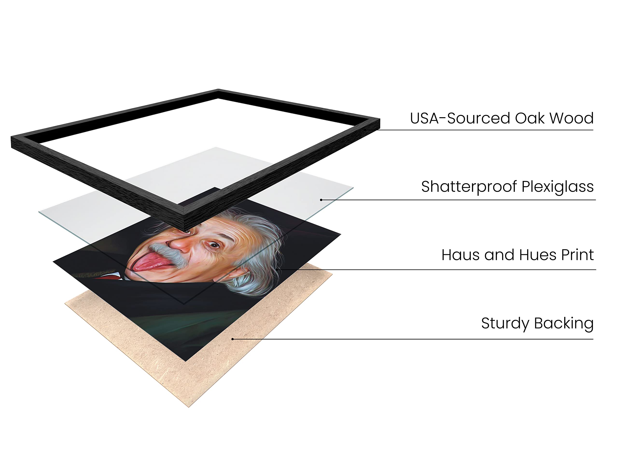 Haus And Hues Meme Poster For Teens - Albert Einstein Poster, Funny Wall Decor, Albert Einstein Portrait, Wall Art Einstein, Sci