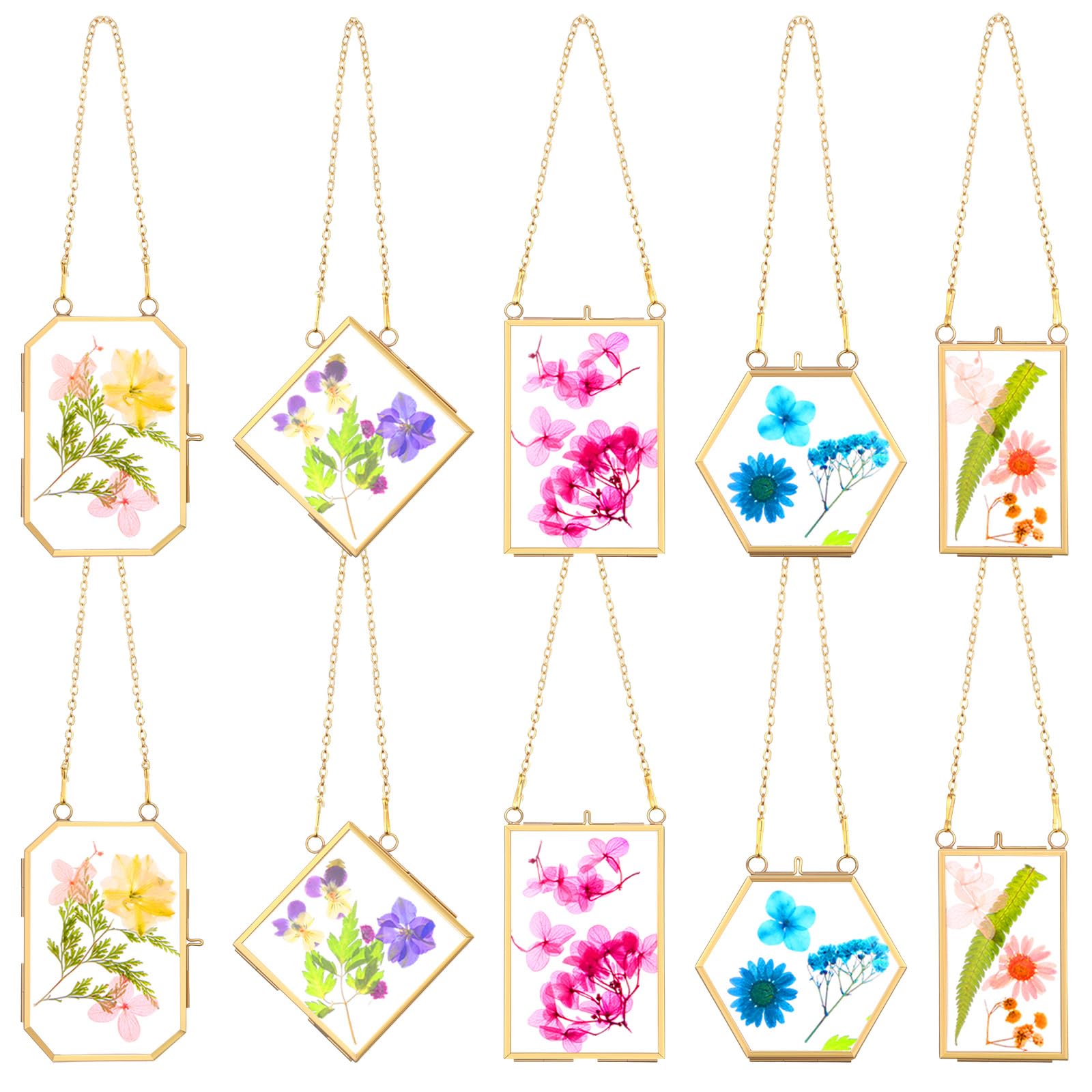 BBTO 10 Pcs Glass Frame for Pressed Flowers 5 Different Shapes Brass Hanging Picture Frame with Chain Pressed Flower Glass Photo