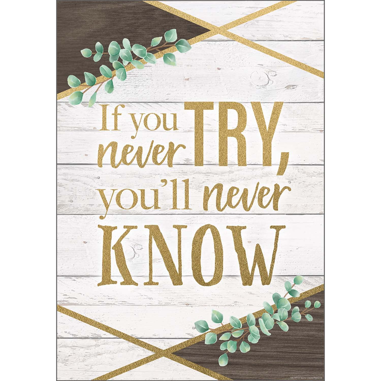 IF YOU NEVER TRY YOULL NEVER POSTER