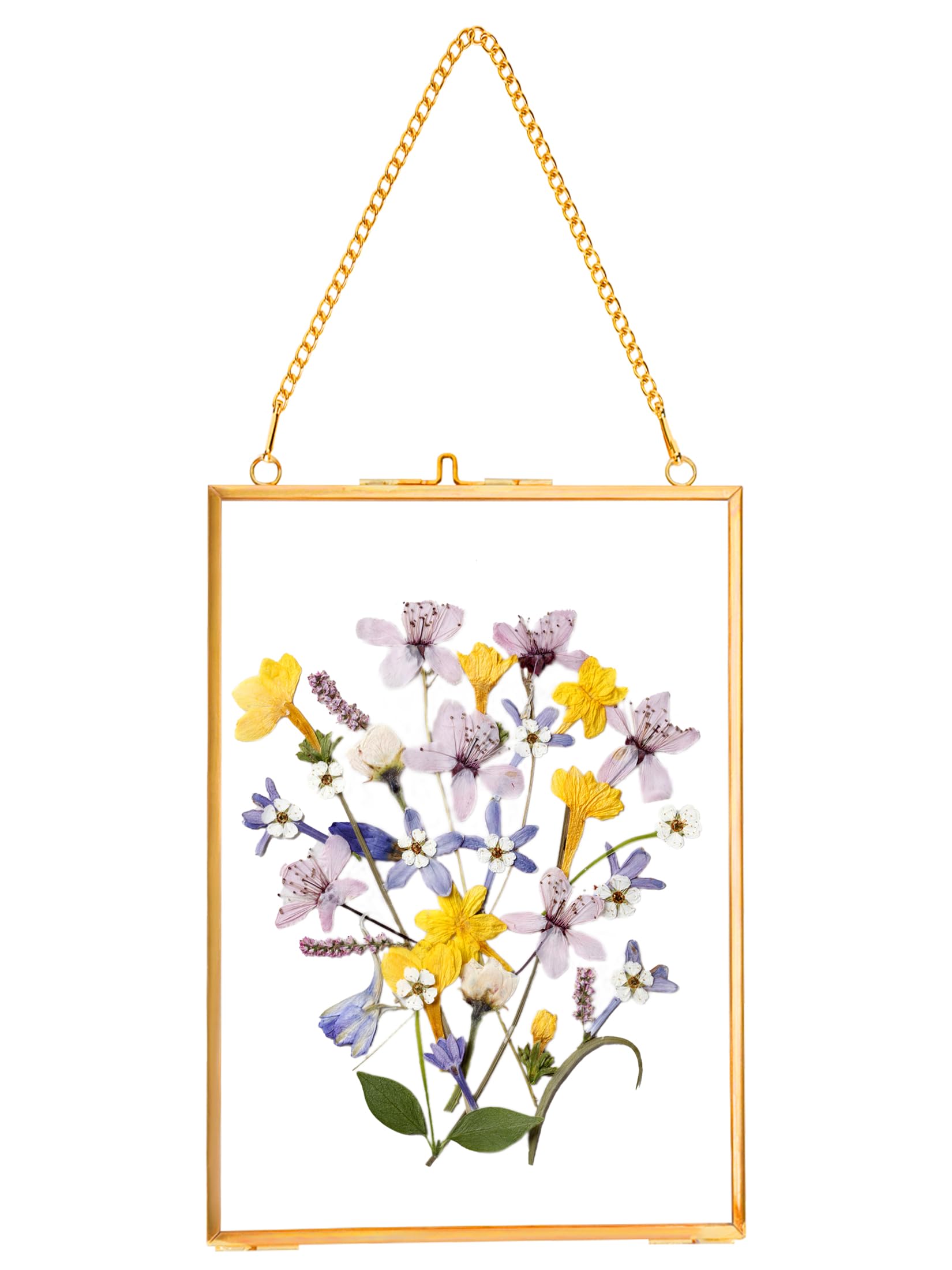 REDHUGO Hanging Pressed Flower Frames, Double Glass Floating Picture Frame Handmade, Glass Frame for Pressed Flowers, Vintage Br