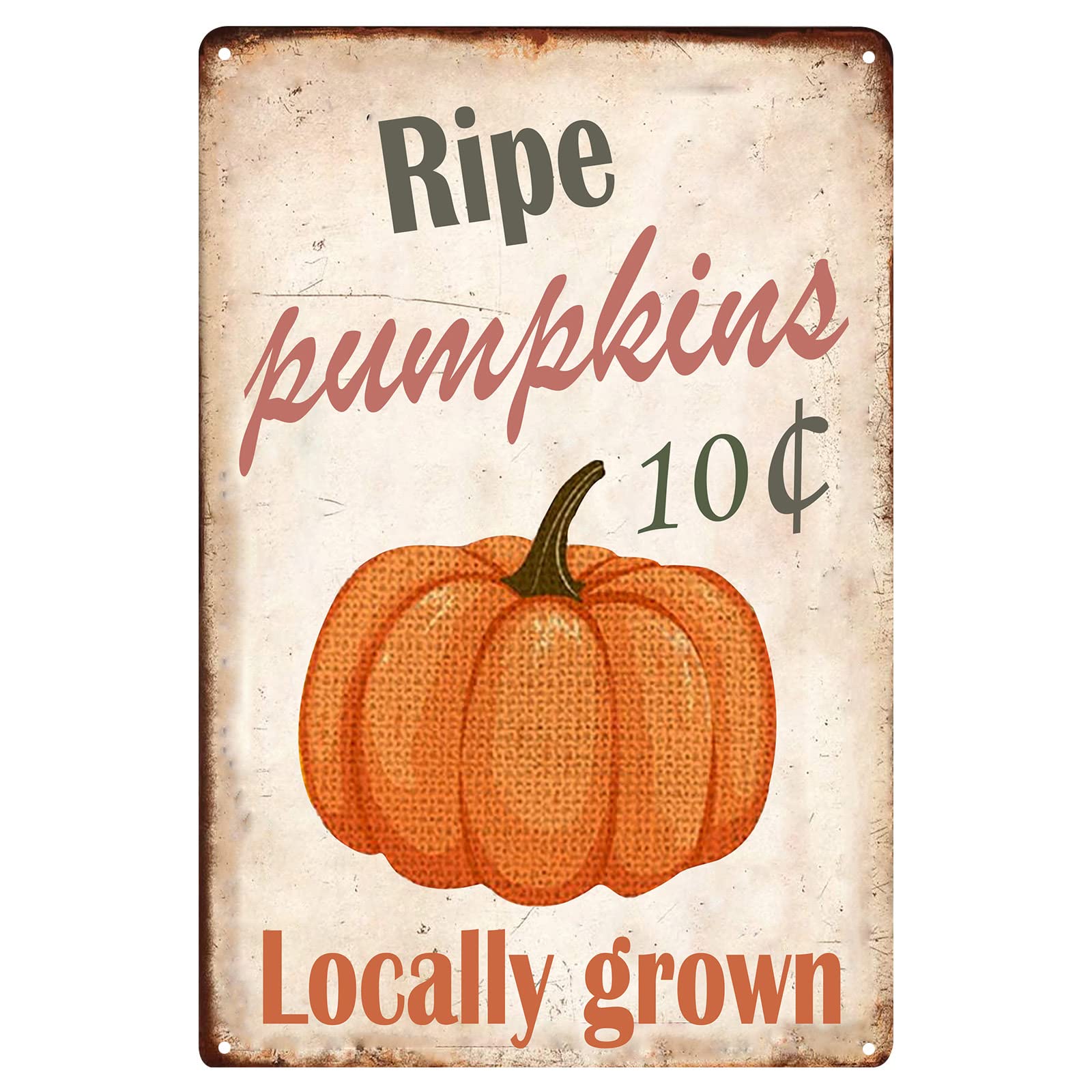 TISOSO 10 Cent Ripe Pumpkins Locally Grown Retro Vintage Kitchen Signs Farm Decorative Country Home Decor Iron Painting Decorati