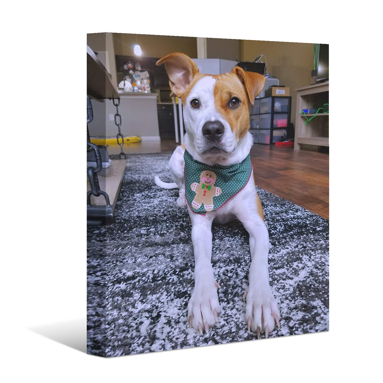Laoife Custom Canvas Upload Images, Personalized Photo To Canvas Digitally Print Wall Art, Personalized Canvas Pictures For Kid 