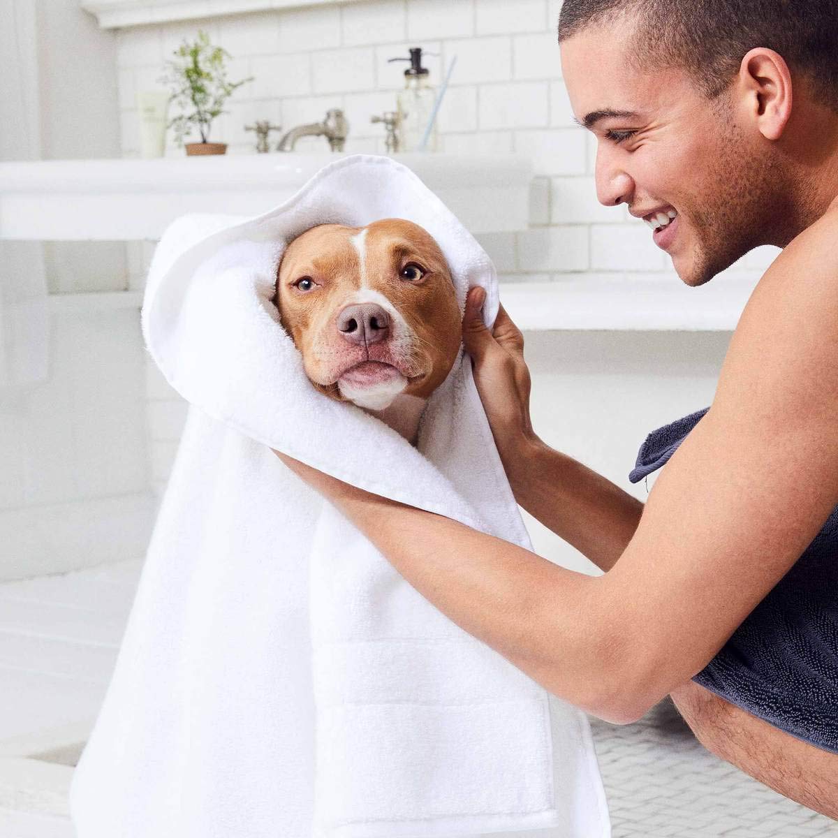 Brooklinen Super-Plush Hand Towels - Set Of 2, White, 100% Cotton | Best Luxury Spa Towels