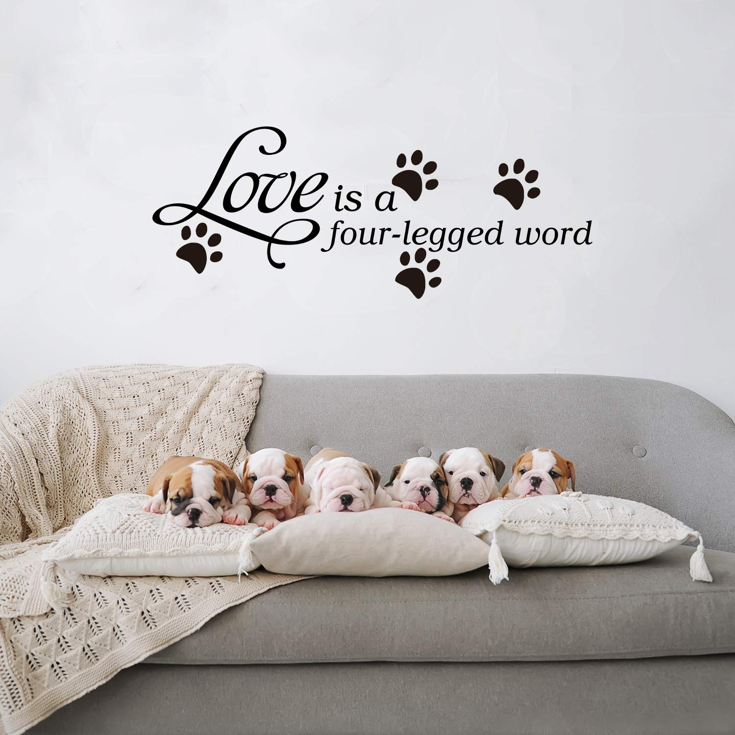 Anfigure Cat Wall Decor, Cat Wall Decals, Pets Dogs Paw House Pup Animals Footprint Quotes Inspirational Bedroom Positive Family
