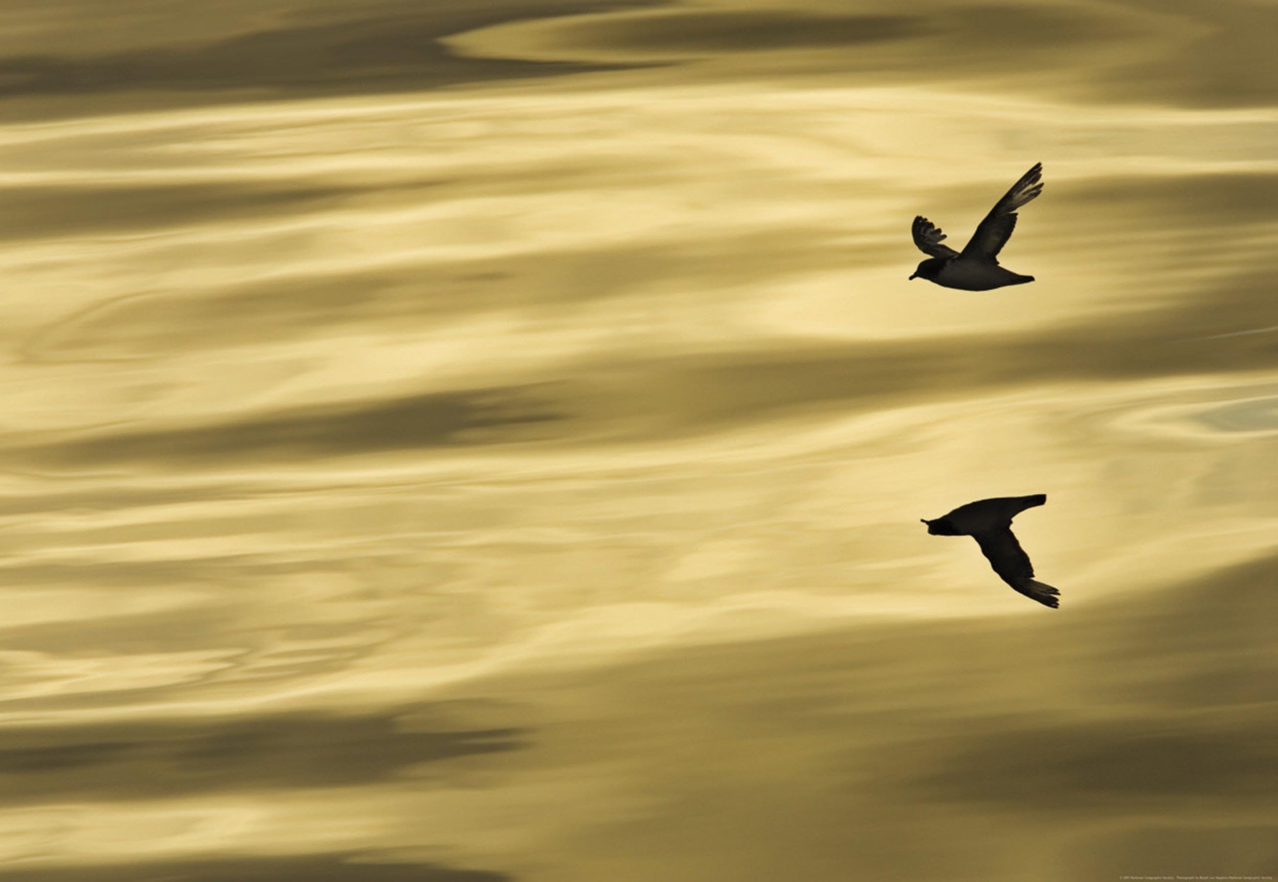 Reflection Sea National Geographic Wall Mural Designer Photo Wall Mural National Geographic 184Cm X 127Cm