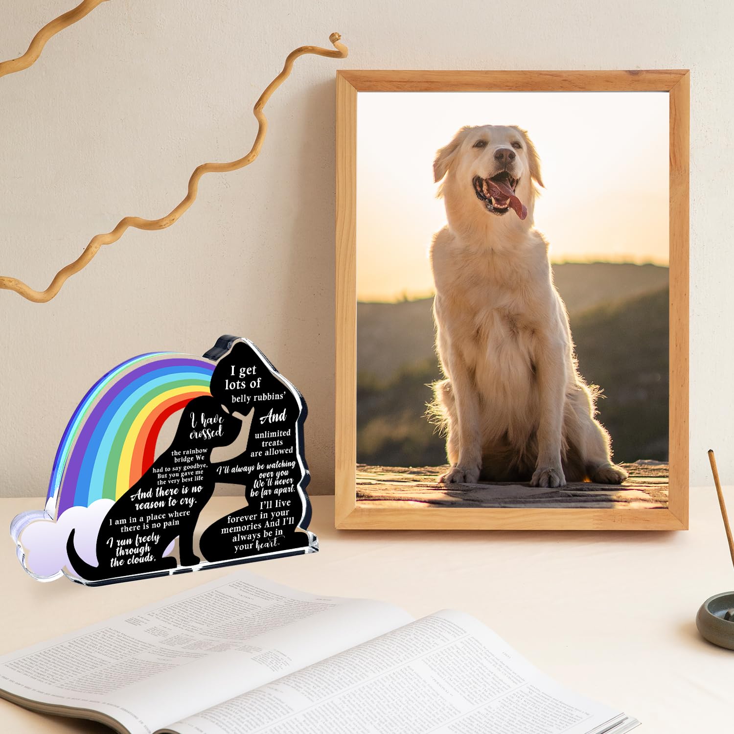 Pet Memorial Gifts, Sympathy Gifts for Loss of Dog, Pet Sympathy Gifts, Bereavement Gifts for Loss Pet, Pet Memorial Acrylic Rai
