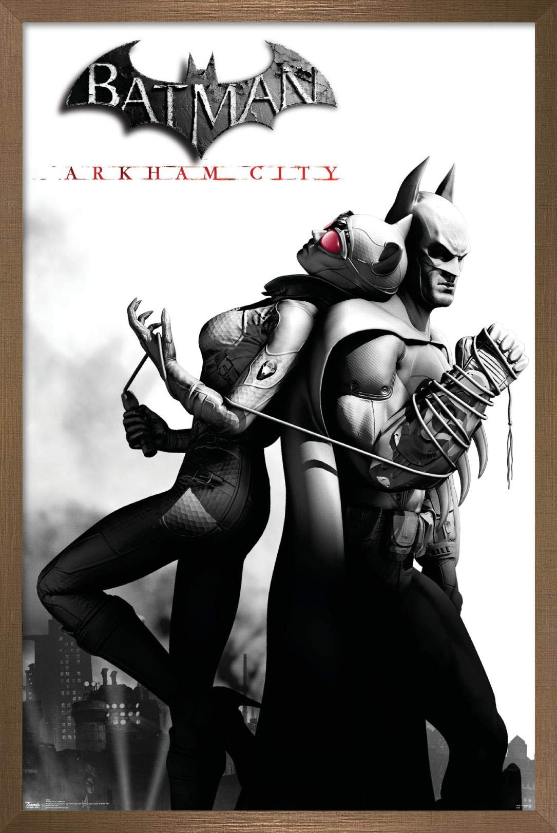 Trends International Dc Comics Video Game - Arkham City - Catwoman Wall Poster, 14.725'' X 22.375'', Bronze Framed Version