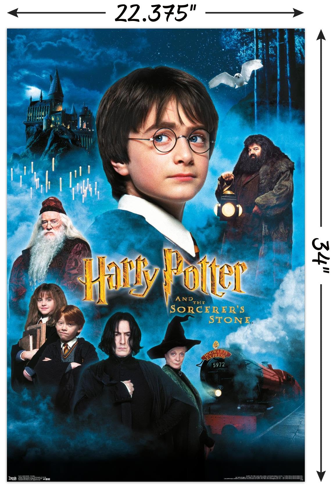 Trends International Harry Potter And The Sorcerer'S Stone - Candles One Sheet Wall Poster, 22.375'' X 34'', Unframed Version