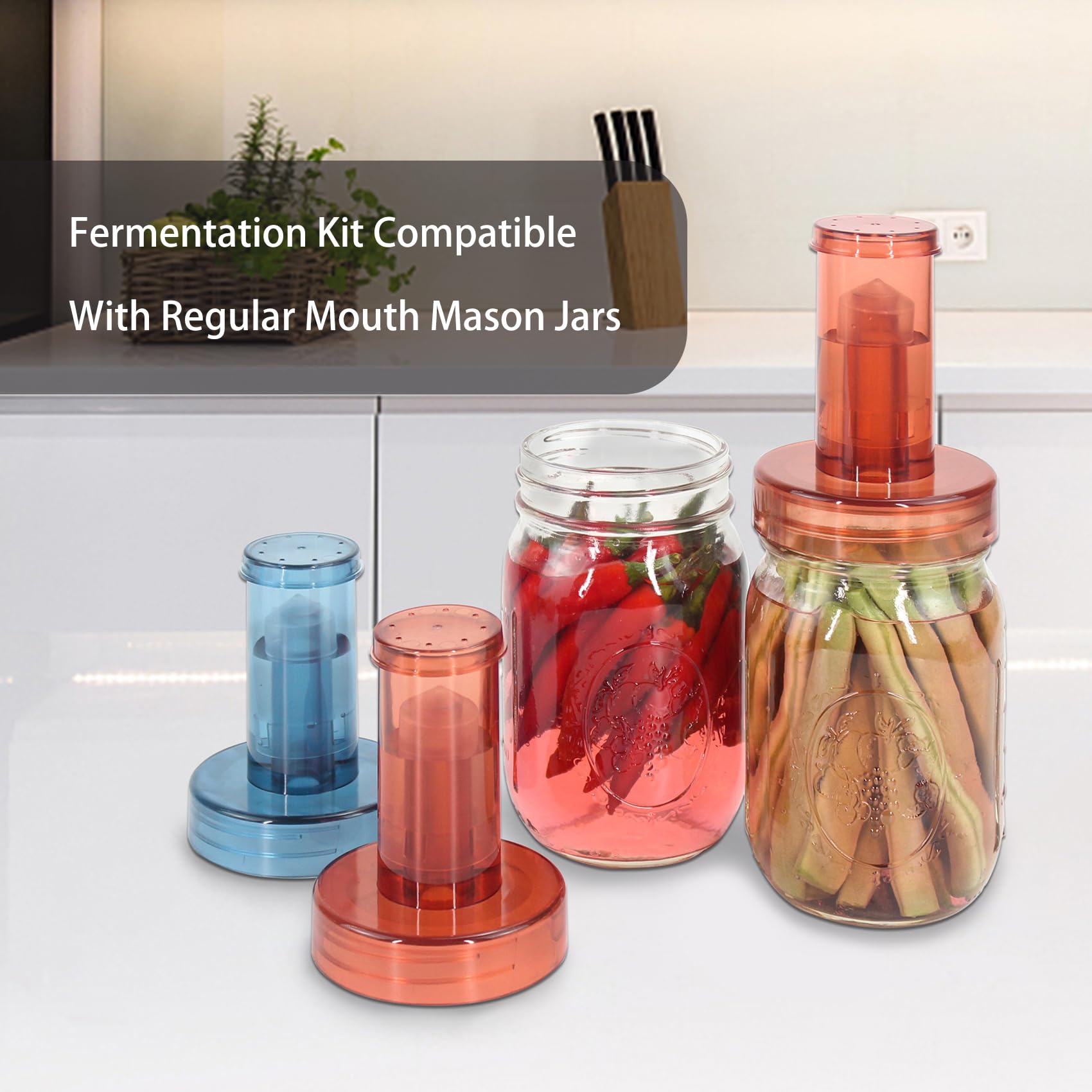 Fermentation Lids Compatible With Regular Mouth Mason Jar, Fermentation Kit For Regular Mouth Mason Jars Making Sauerkraut,Kimch