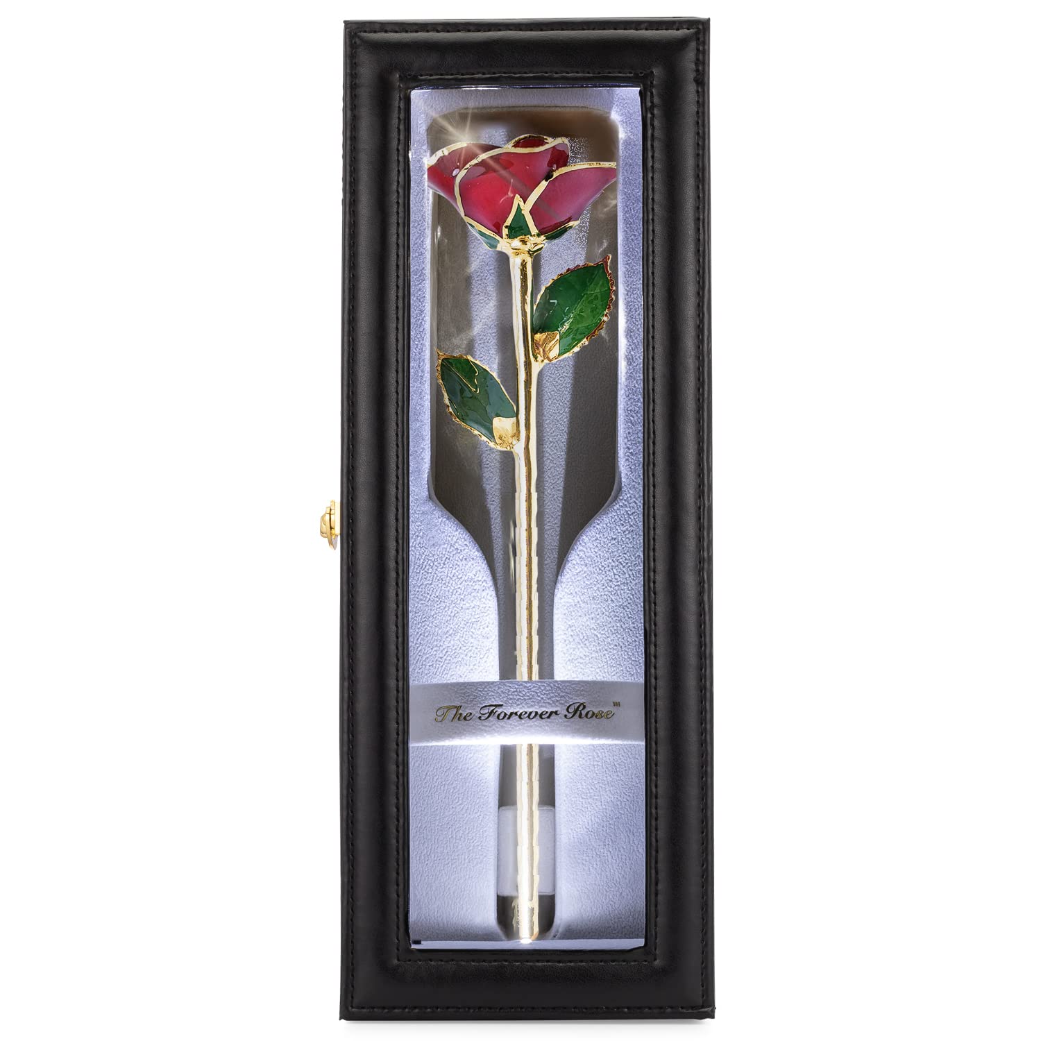 Forever Rose Leather Case Bundle, Genuine, One Of A Kind, Real Gold Trimmed Bloomed Red Rose With Beautiful Leather Case With Le