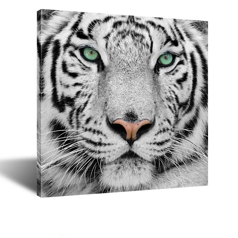 Kreative Arts White Tiger Canvas Art Print Large Animal Wall Art Deco Canvas Picture Stretched On Wooden Frame As Modern Gallery
