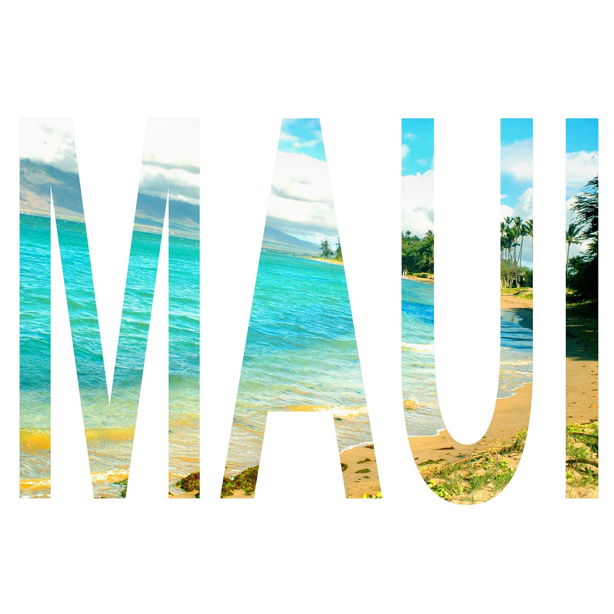 Cafepress Maui Rectangle Magnet, 3''X2'' Refrigerator Magnet