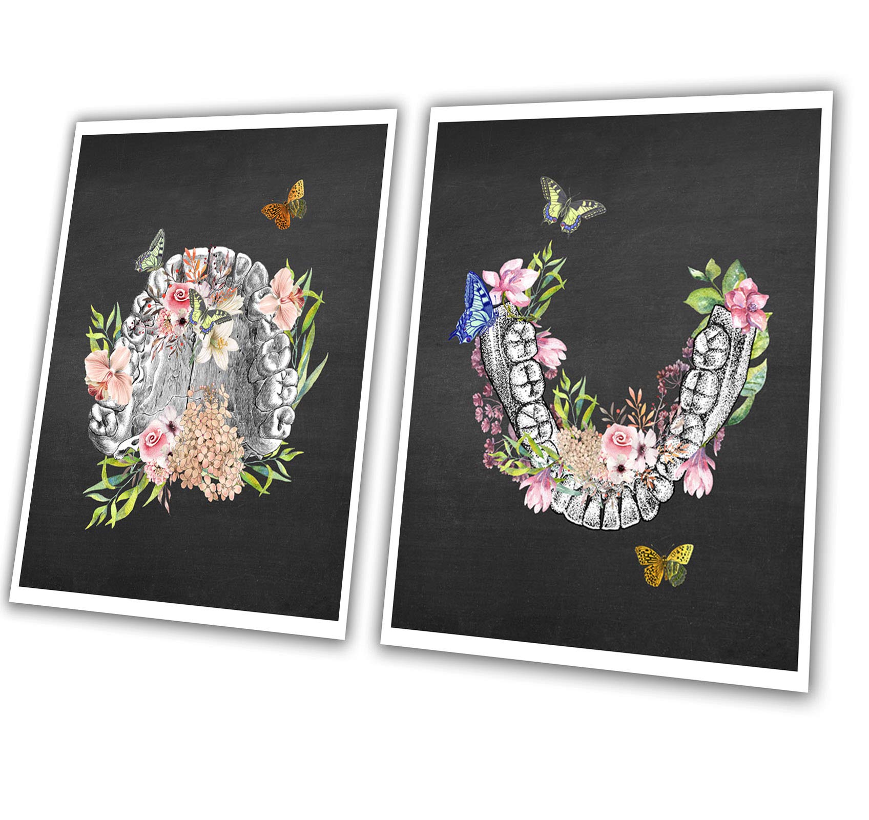 Gnosiscollageart Dental Art Human Teeth Anatomy Flower Butterflies Set Of 2 Unframed Prints