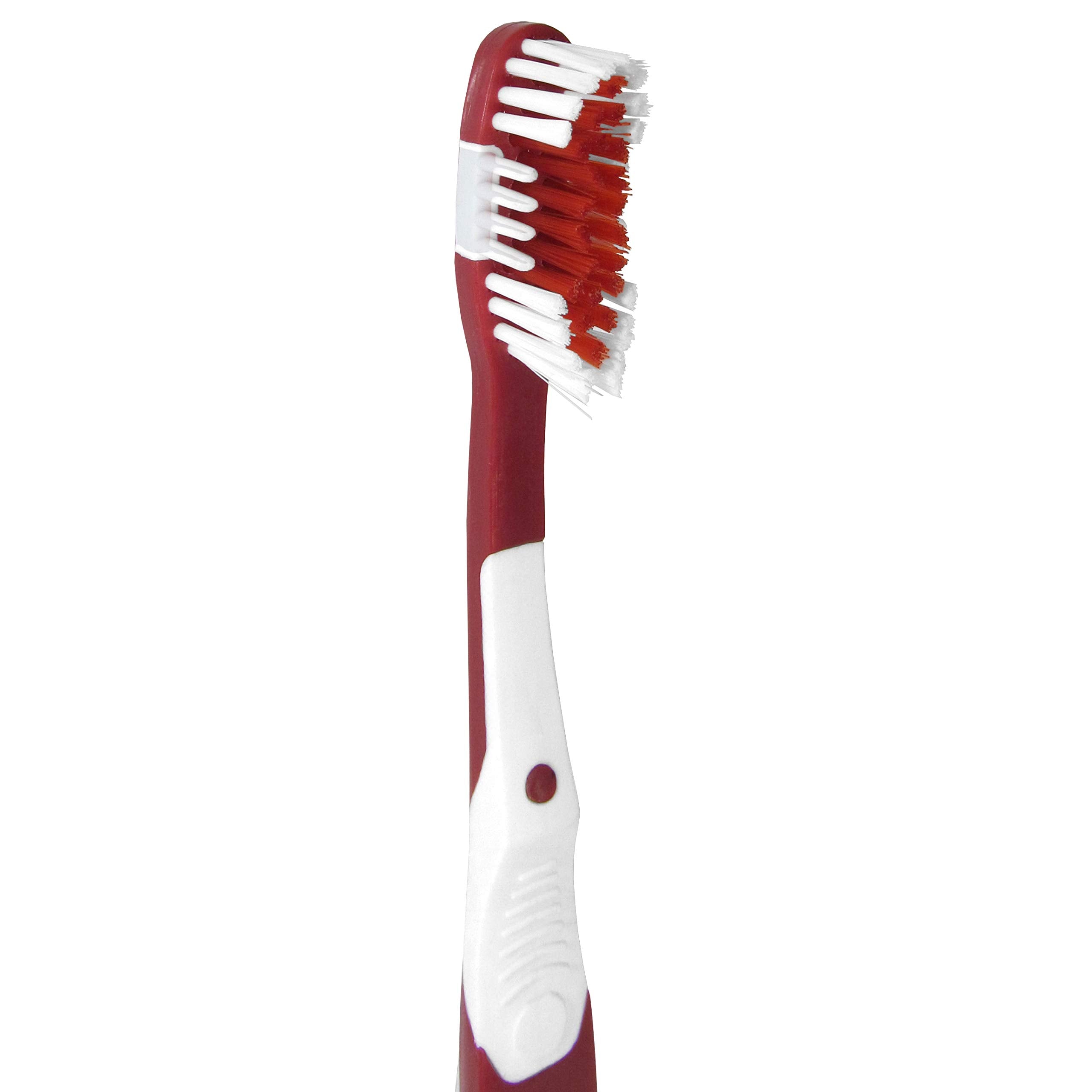 Ncaa Siskiyou Sports Fan Shop Ohio State Buckeyes Mvp Toothbrush One Size Team Color