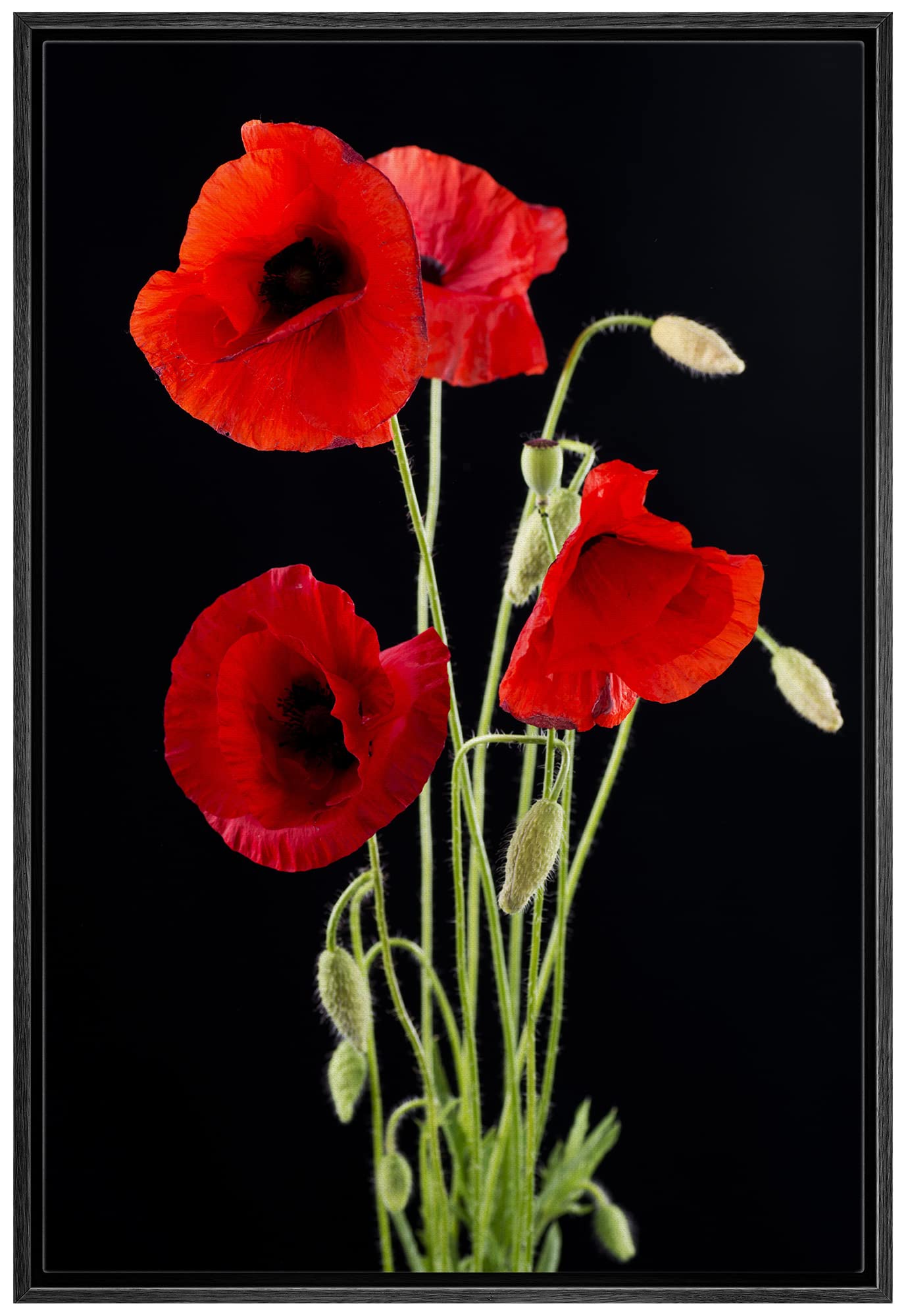 Wall26 Framed Canvas Print Wall Art Red Poppy Bouquet On Dark Background Floral Botanical Photography Modern Art Rustic Scenic R