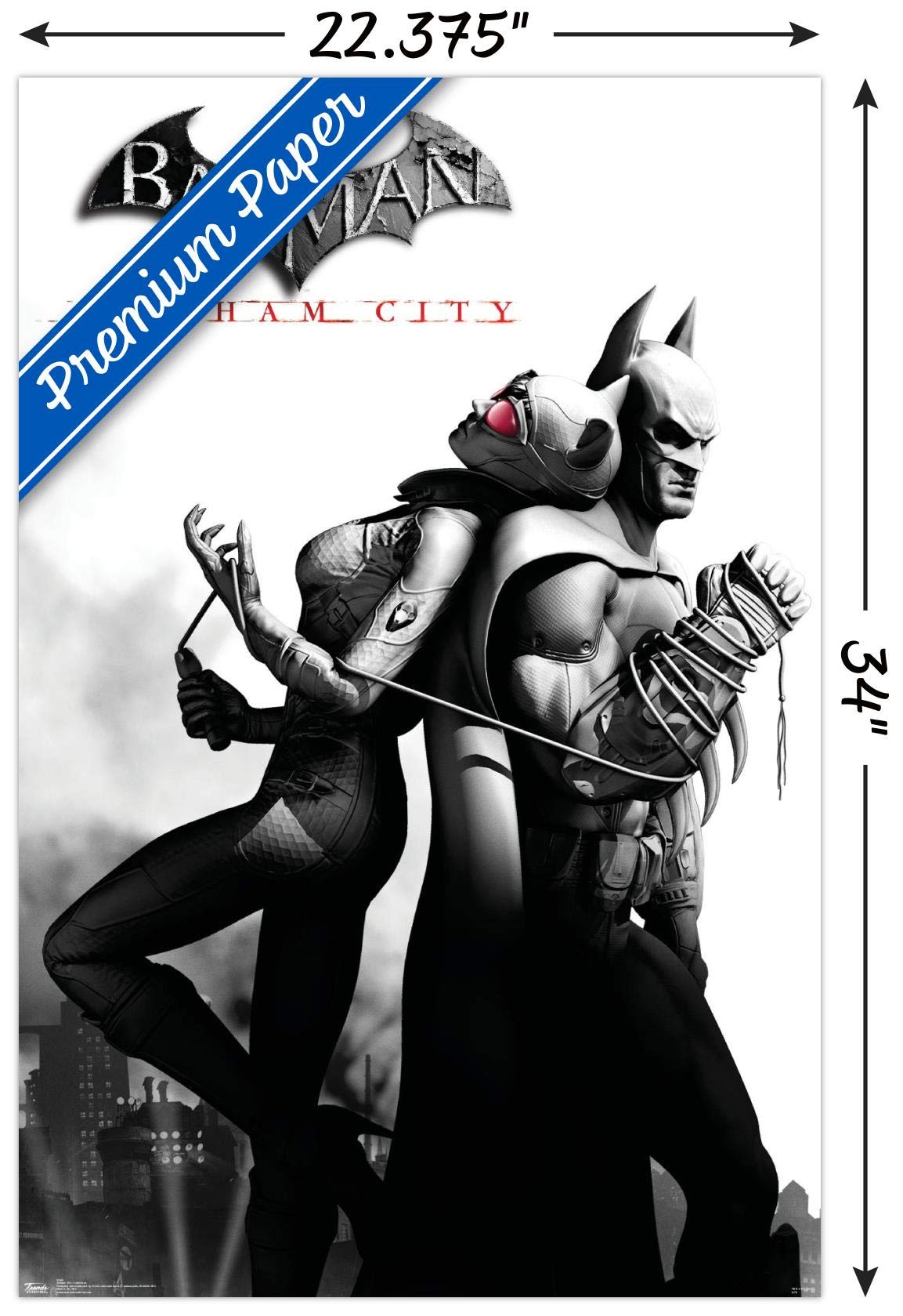 Trends International Dc Comics Video Game - Arkham City - Catwoman Wall Poster, 22.375'' X 34'', Premium Poster & Clip Bundle