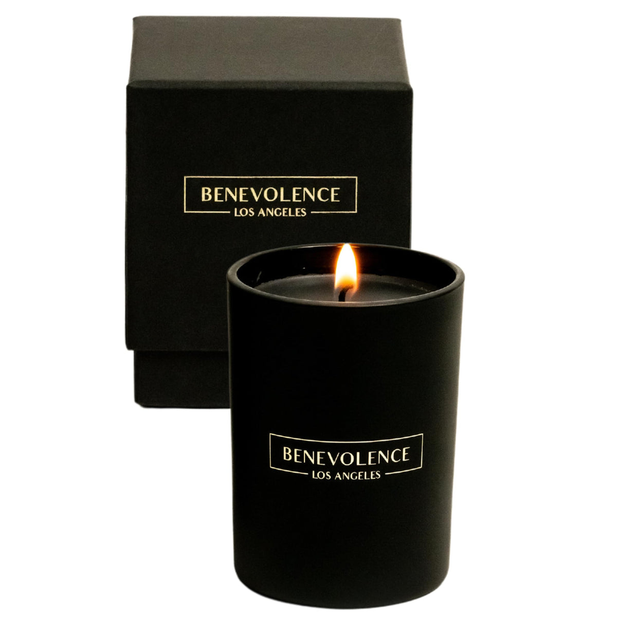 Black Berries (Baies) Scent  10 oz Scented Candles for Home  Natural Soy Candles Gifts for Women, Aromatherapy Candle, Fall Cand