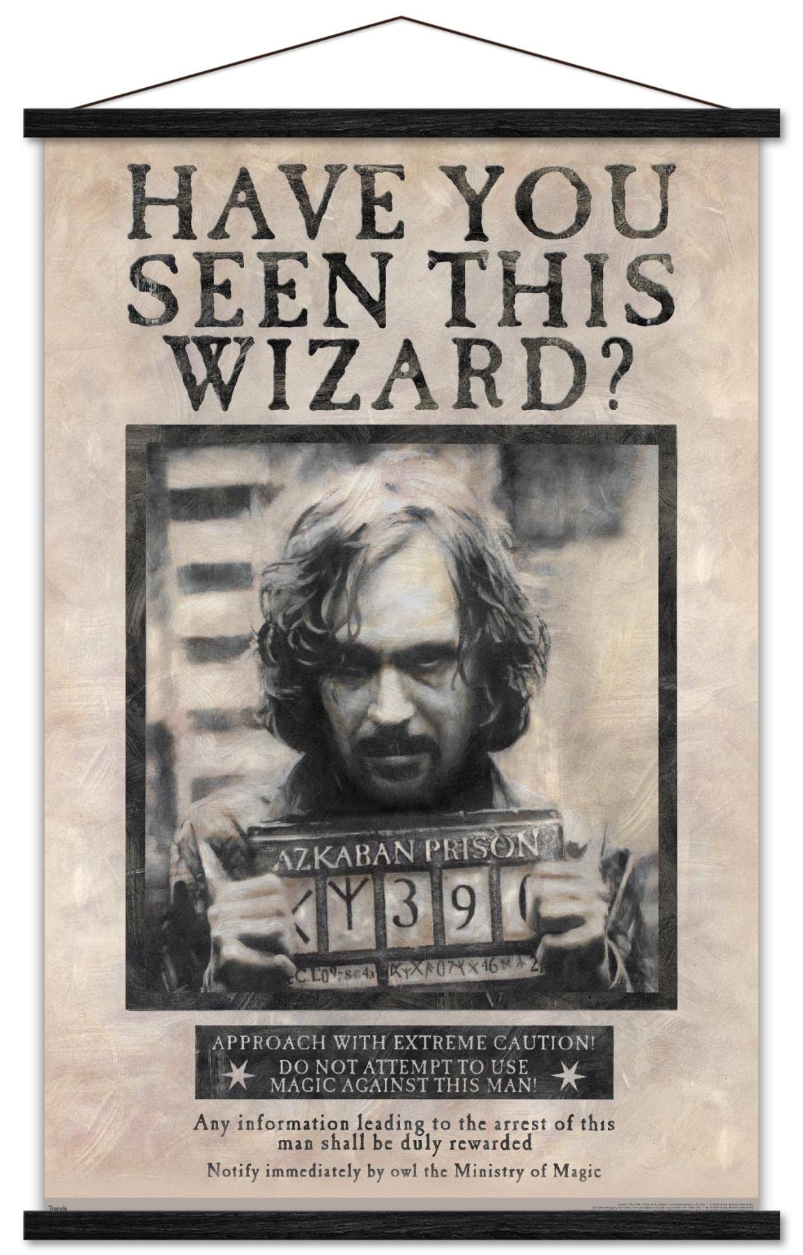 Trends International The Wizarding World: Harry Potter - Sirius Black Wanted Poster Wall Poster, 22.375'' X 34'', Print And Blac