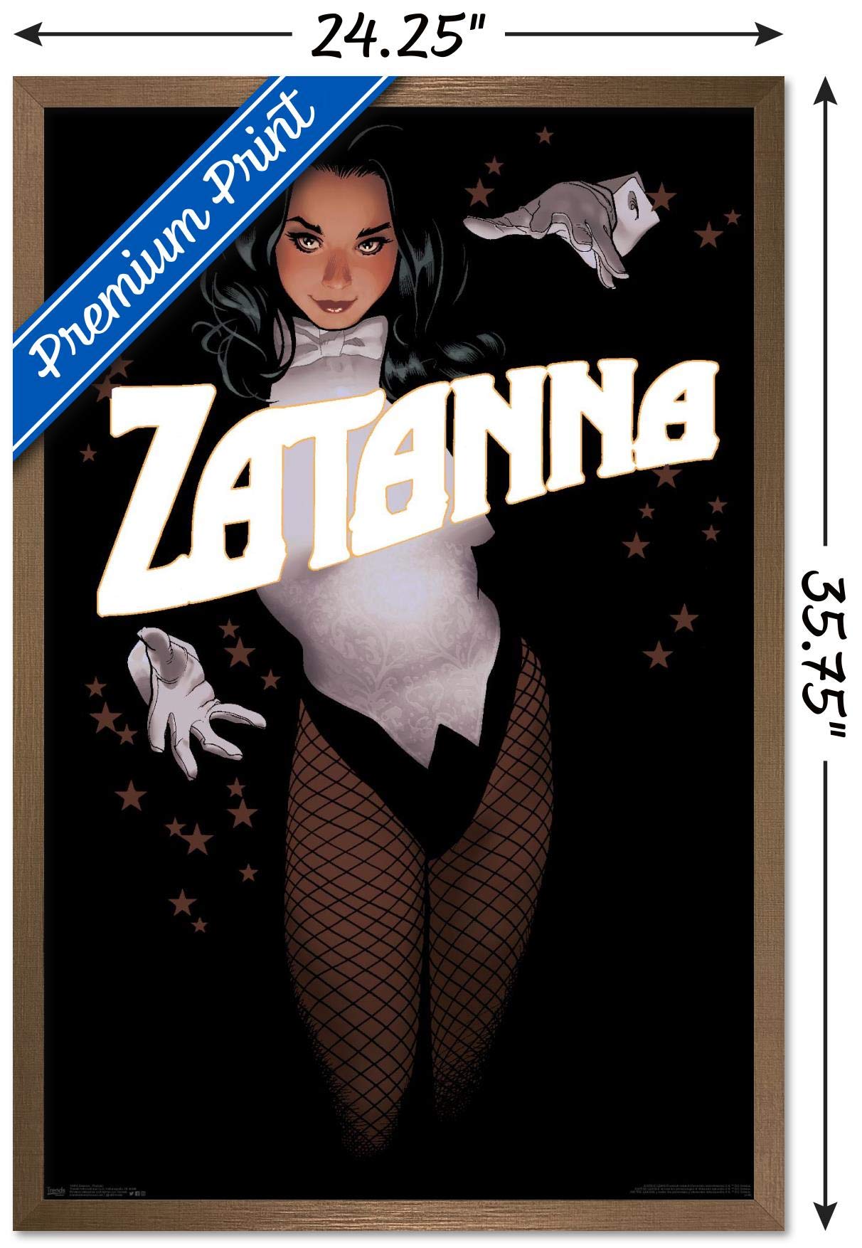 Trends International Dc Comics - Zantanna - Alex Ross Portrait Wall Poster, 22.375'' X 34'', Bronze Framed Version