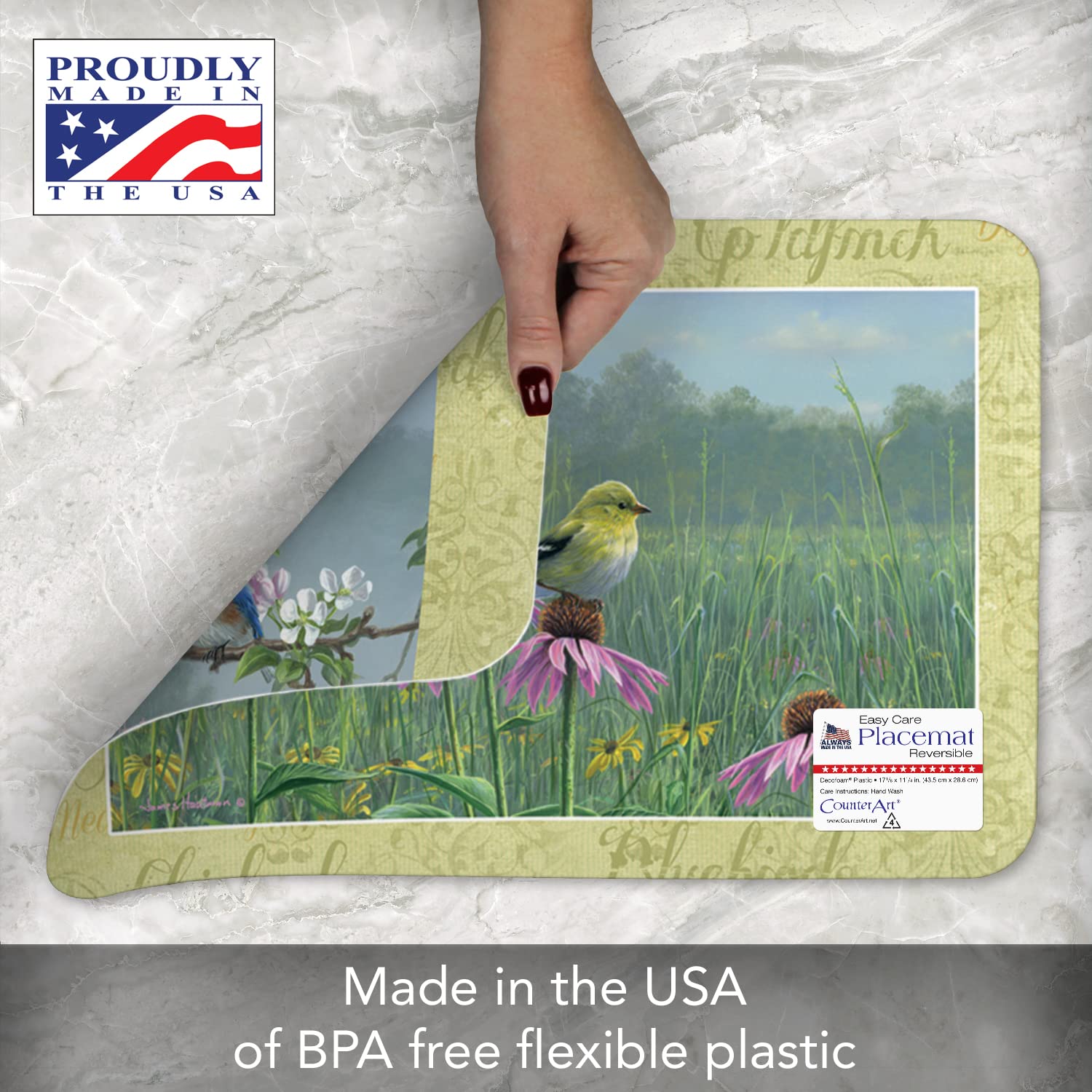 Counterart Beautiful Songbirds 4 Pack Reversible Easy Care Flexible Plastic Placemats Made In The Usa Bpa Free Easily Wipes Clea
