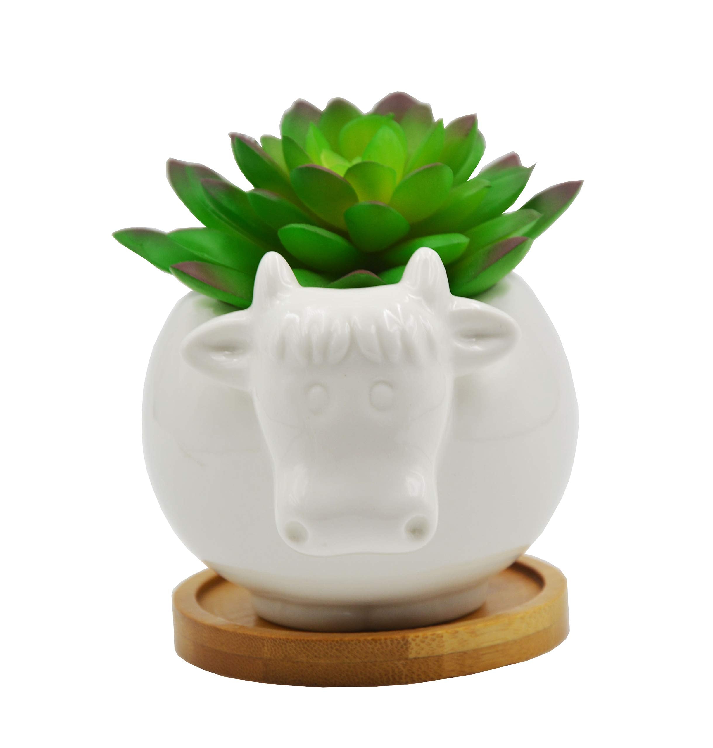 Cuteforyou Succulent Pots,Cute 4.72 Inch Indoor Animal Cow Shaped Cartoon Ceramic Succulent Cactus Flower Pot with Bamboo Tray -