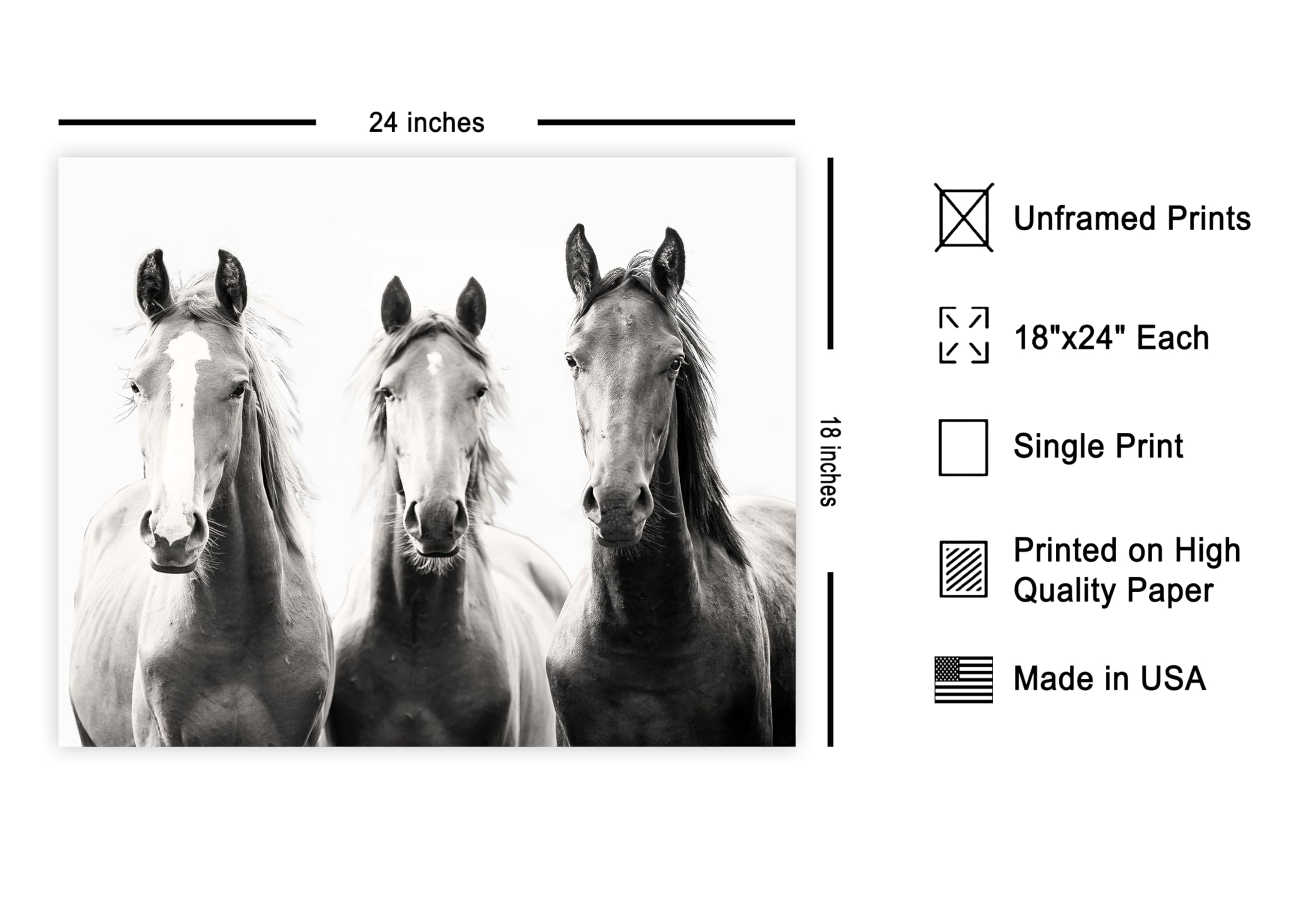 Poster Master Vintage Photograph Poster - Retro Minimalist Print - Gift for Artist, Friend - Wild Horses, Black and White, Sepia
