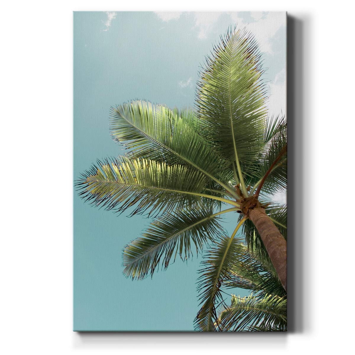 Renditions Gallery Nature Canvas Wall Art Paintings For Wall Decoration Palm Tree Sunlight Sky View Wall Hanging Tropical Artwor