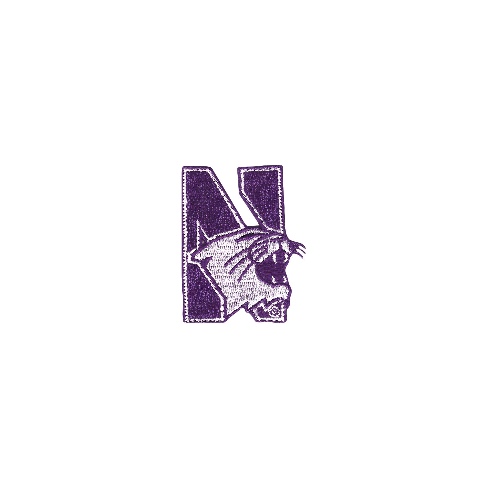Tervis Made In Usa Double Walled Northwestern University Wildcats Insulated Tumbler Cup Keeps Drinks Cold & Hot, 16Oz, Primary L