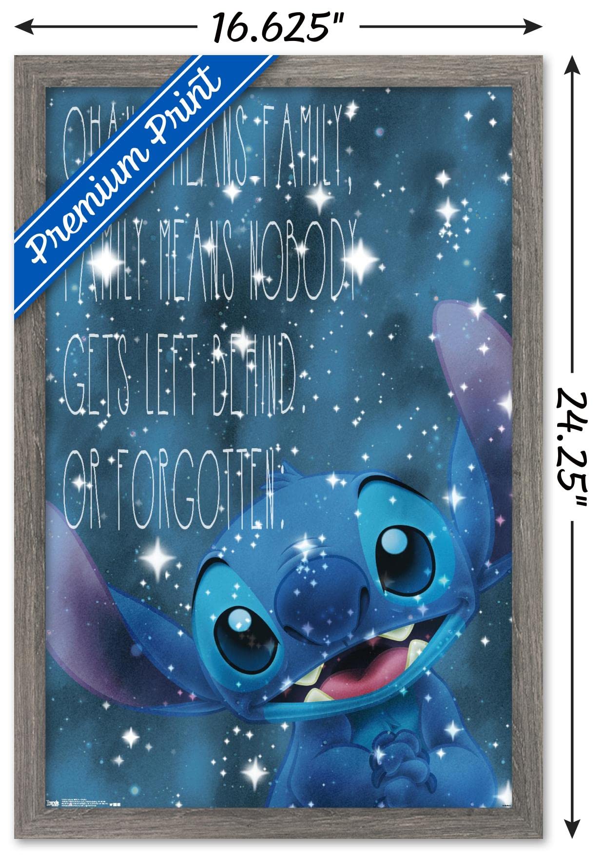 Trends International Disney Lilo And Stitch - Ohana Wall Poster, 14.725'' X 22.375'', Barnwood Framed Version