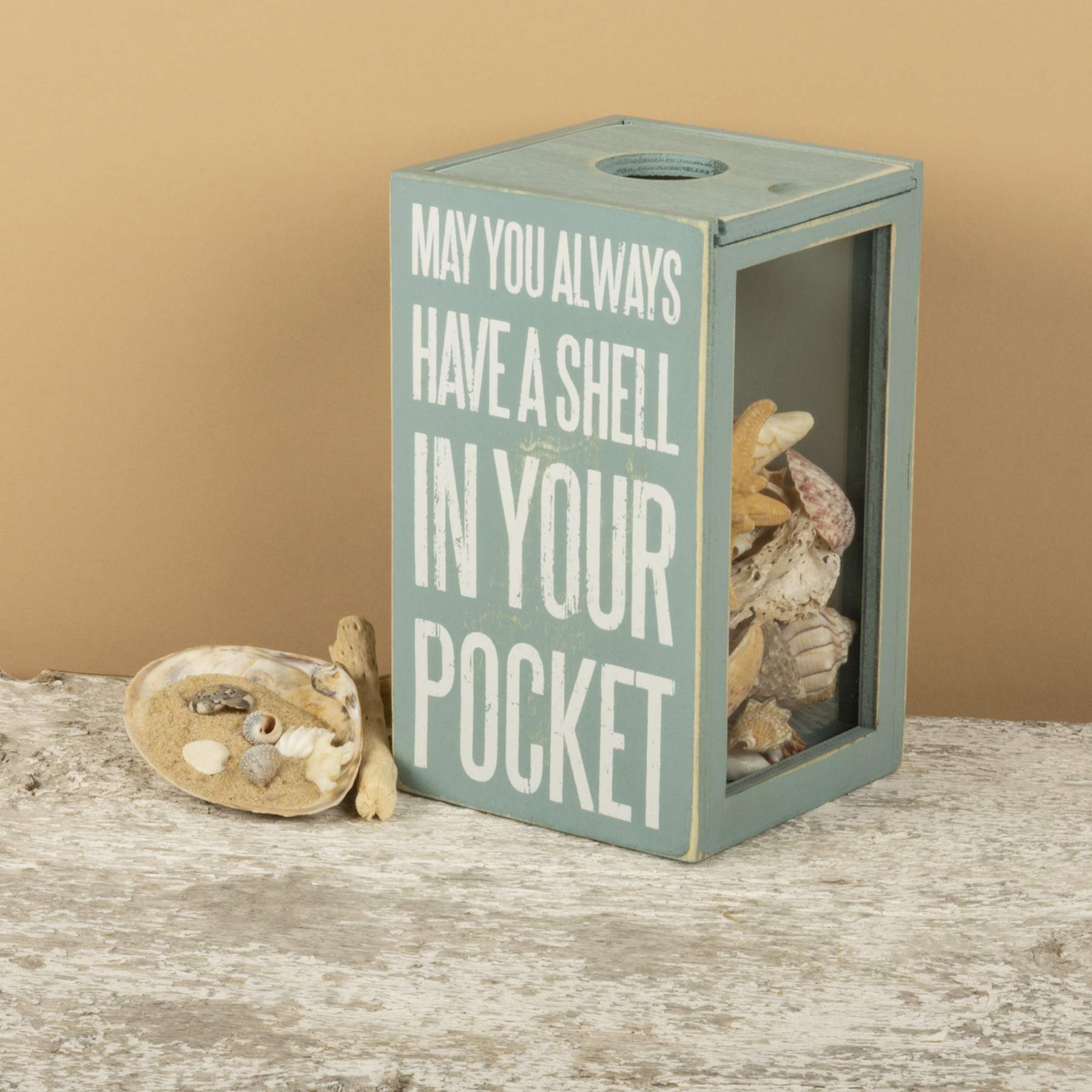 Primitives by Kathy Seashell Holder - Coastal Decor  Glass Display  Treasure Chest  Room and Bedroom Decor