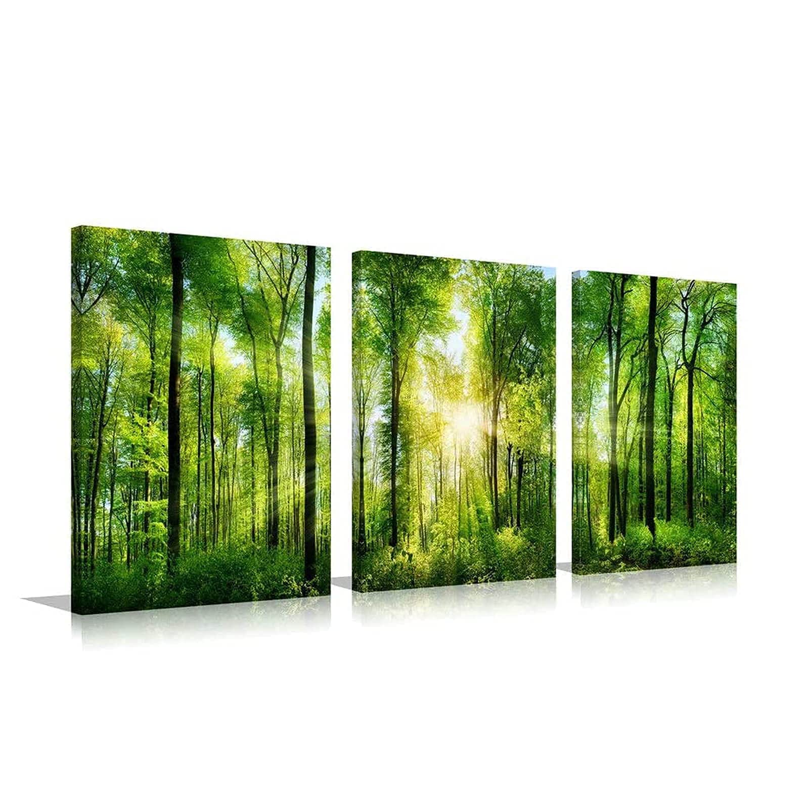 HLJ ART 3 Panels Morning Sunrise Green Trees Landscape Sunshine Over Forest Photograph Printed on Canvas for Home Wall Decoration (Green  12x16inchx3)