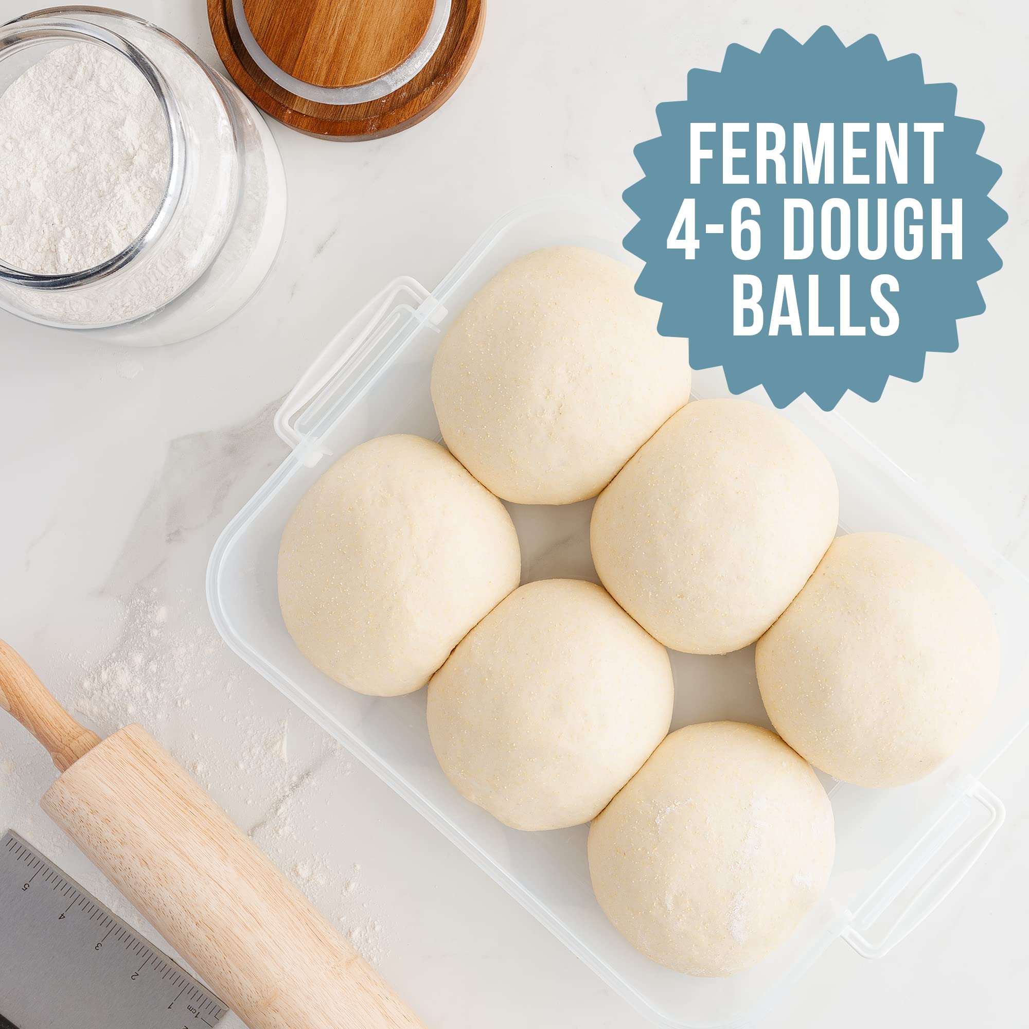 Chef Pomodoro Pizza Dough Proofing Box, 14 X 11-Inch, Pizza Dough Container, Fits 4-6 Dough Balls, Household Pizza Dough Tray Wi